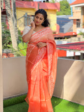Kutch Work Inspired  Embroidery Pattern  Organza Saree | SK278