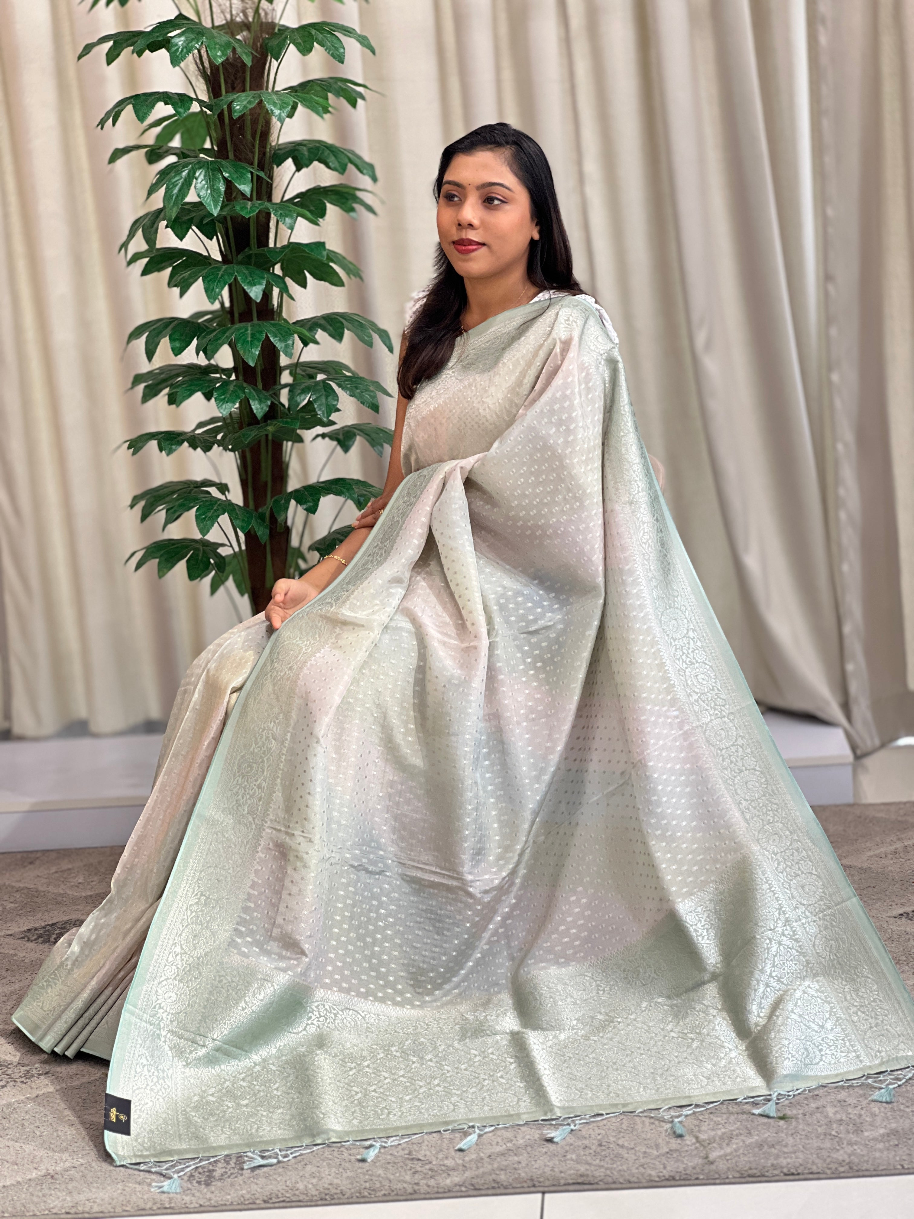 Rangat Pattern & Banarasi Woven Crepe Saree | MB184