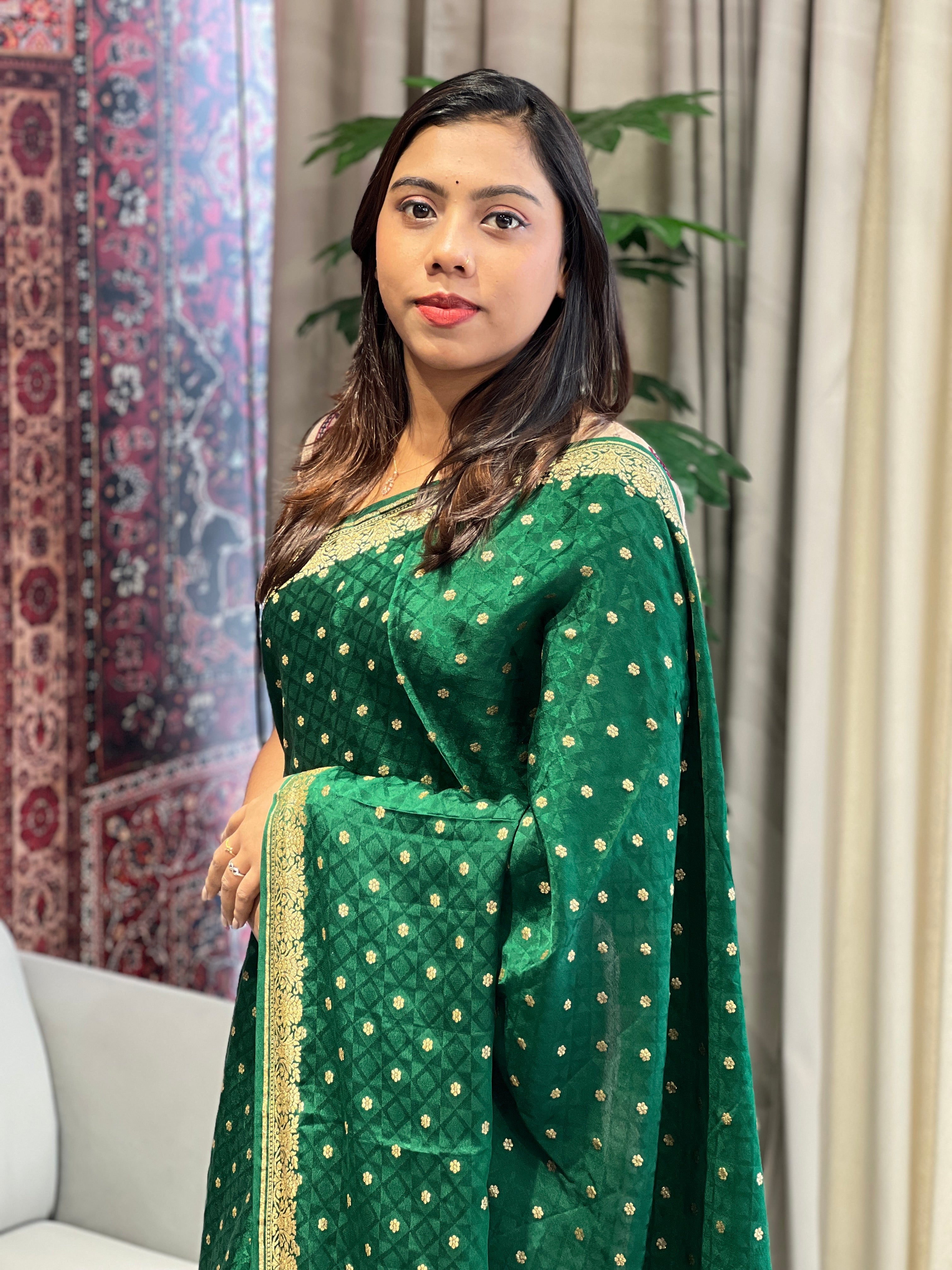 Banarasi Woven Chinon Saree | YNG719