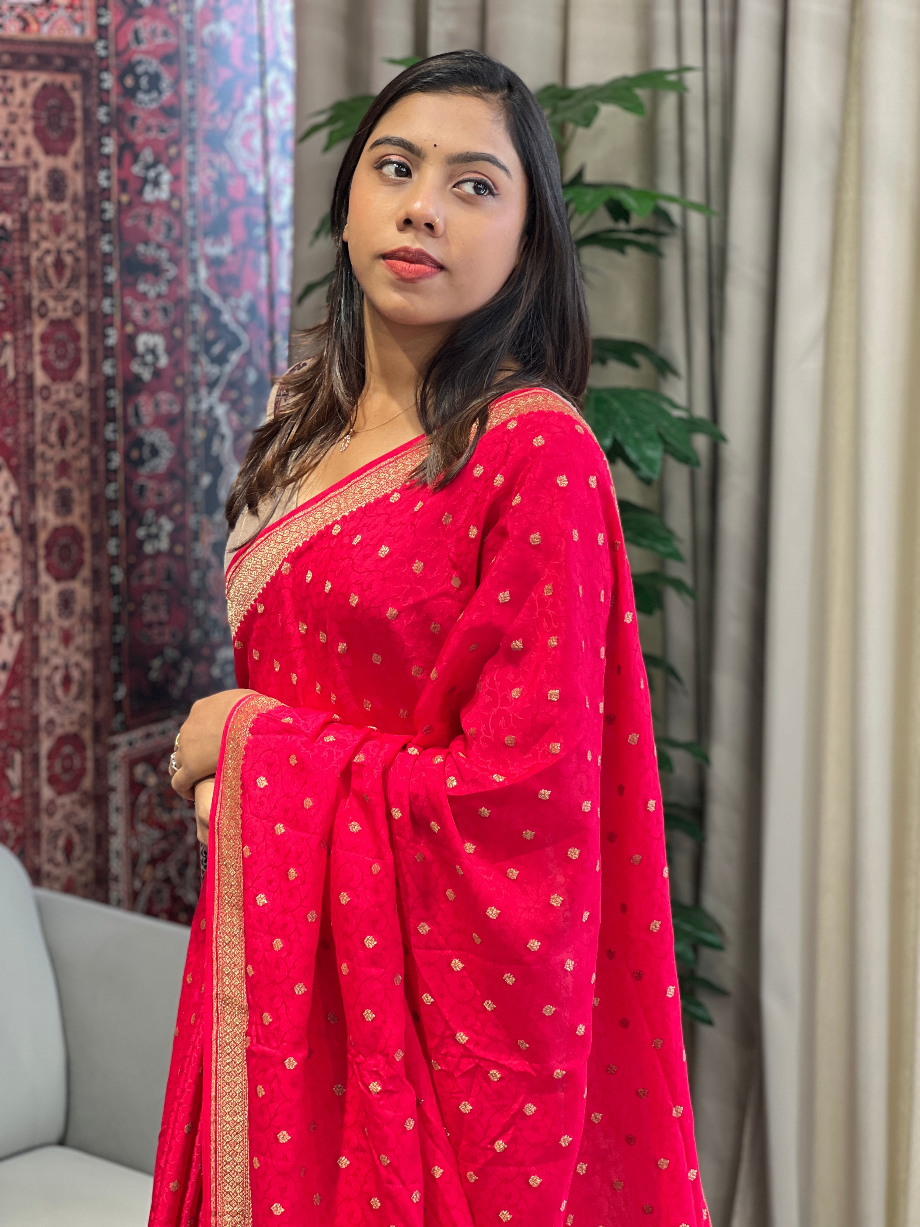 Banarasi Woven Chinon Saree | YNG718