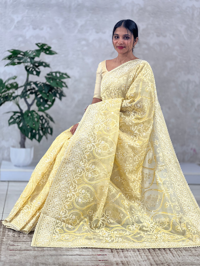 Paisley Embroidery Organza Saree | RGD566