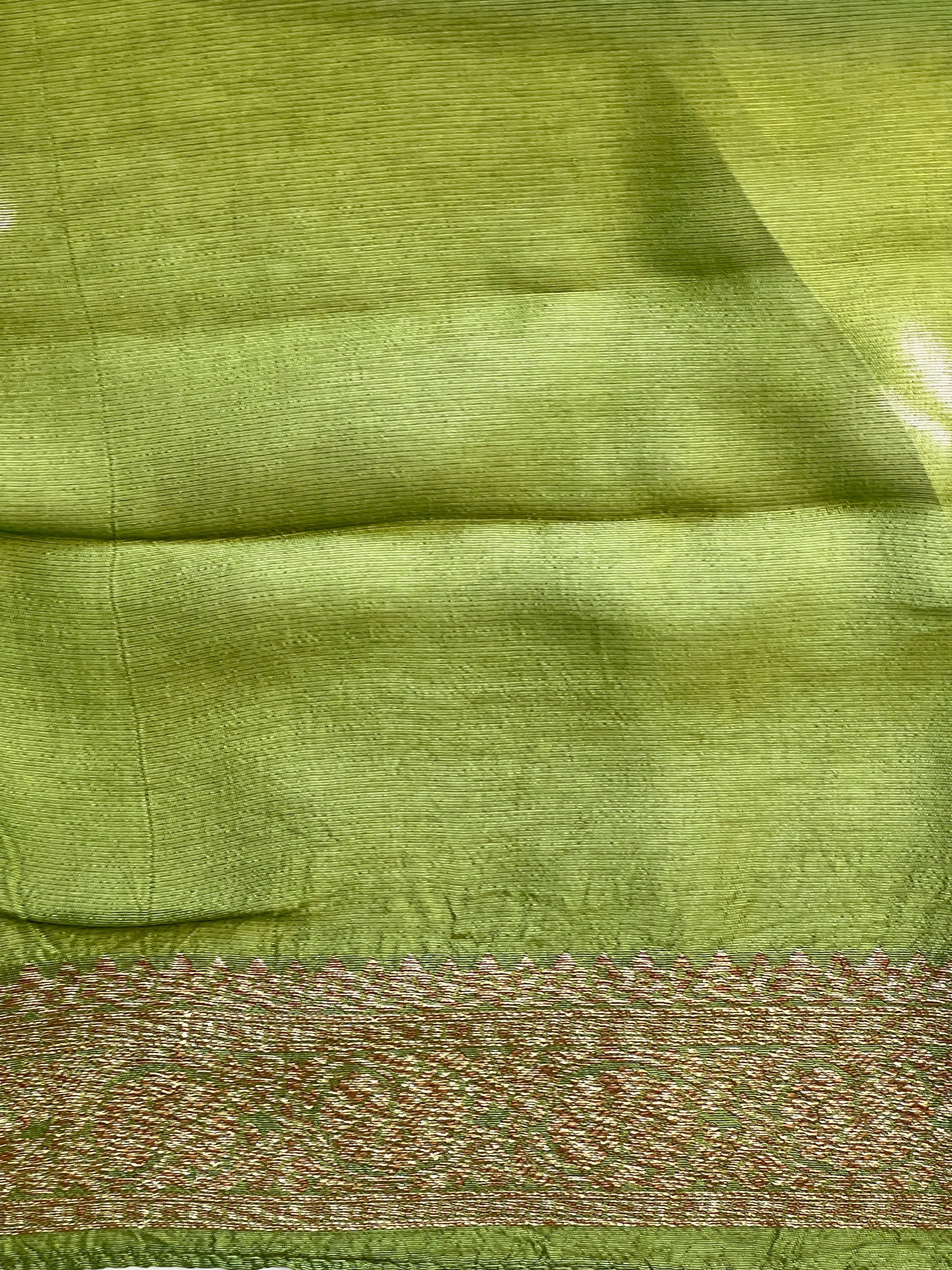 Zari and Thread Woven Banarasi Saree | YNG799