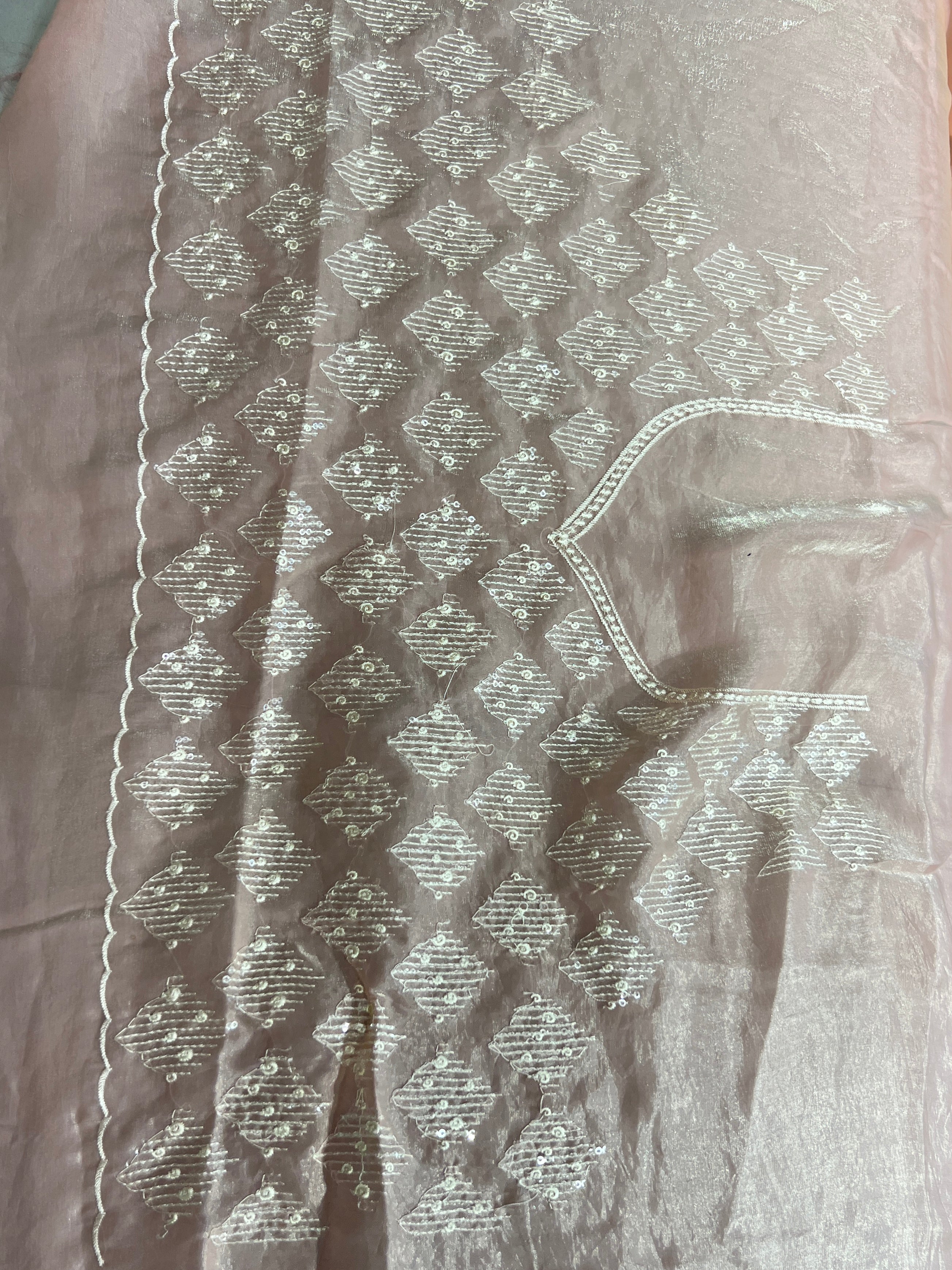 Machine Embroidery Detailed Velvet Georgette Saree | BLD1764