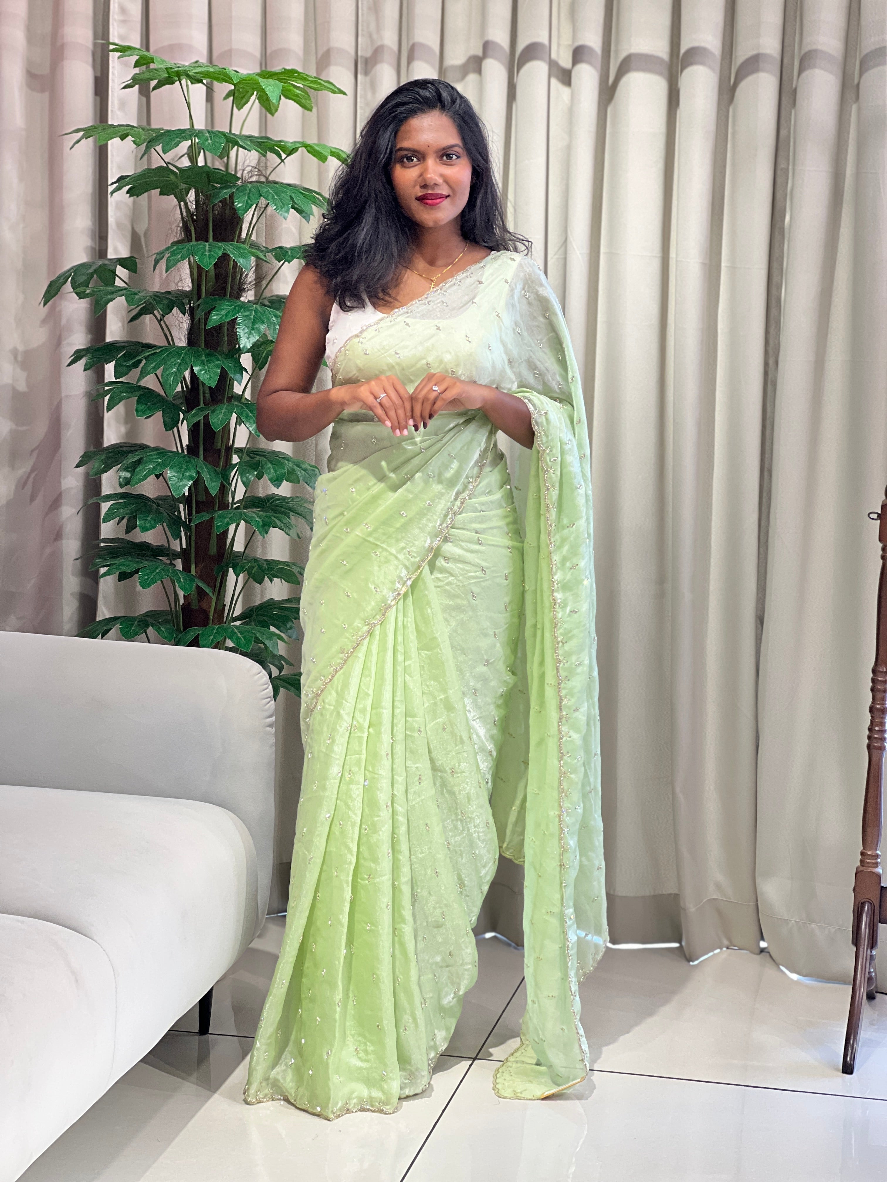 Cut Beads And Sticky Stone Detailed Shimmer Organza Saree | SGS149