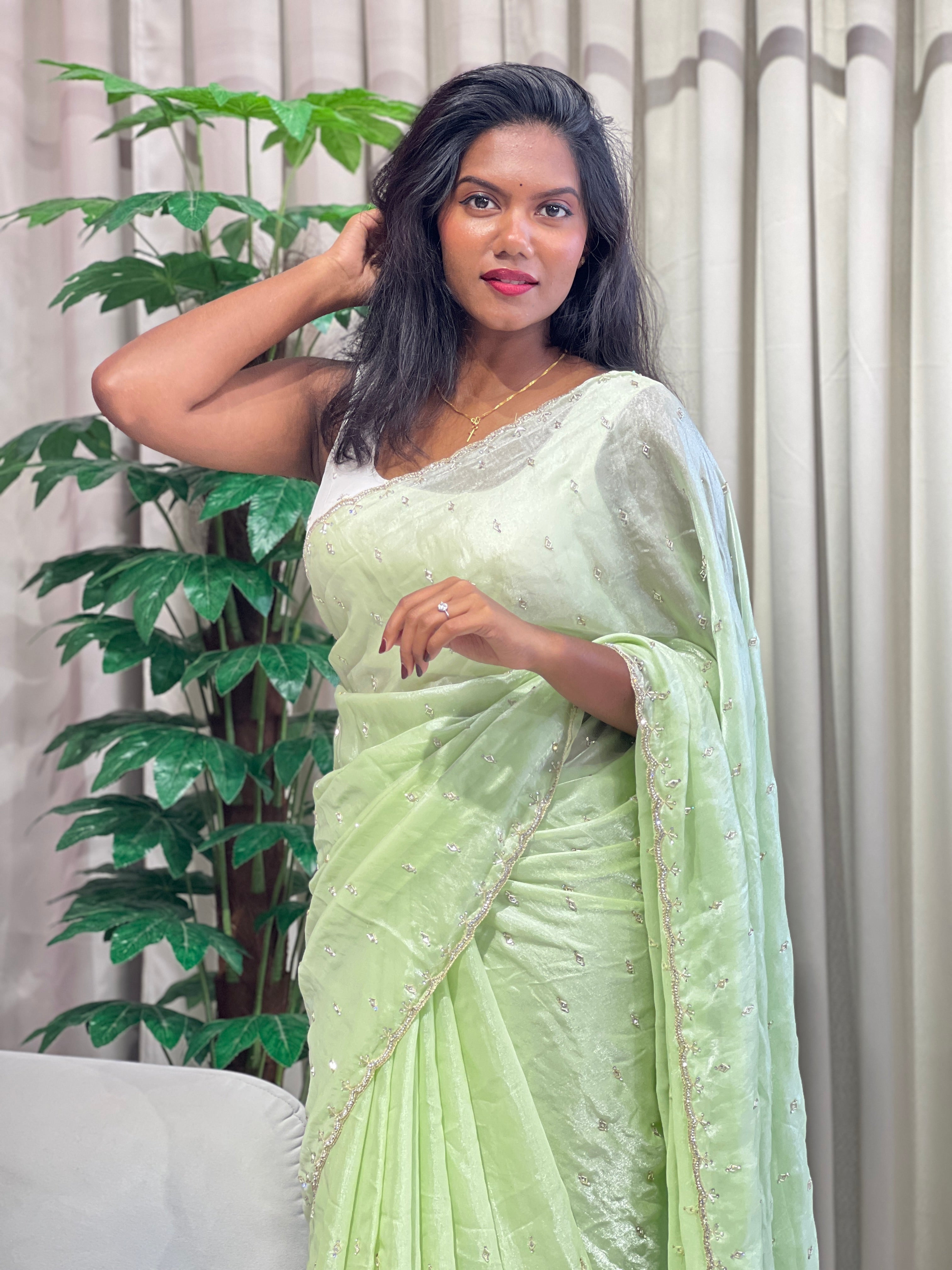 Cut Beads And Sticky Stone Detailed Shimmer Organza Saree | SGS149