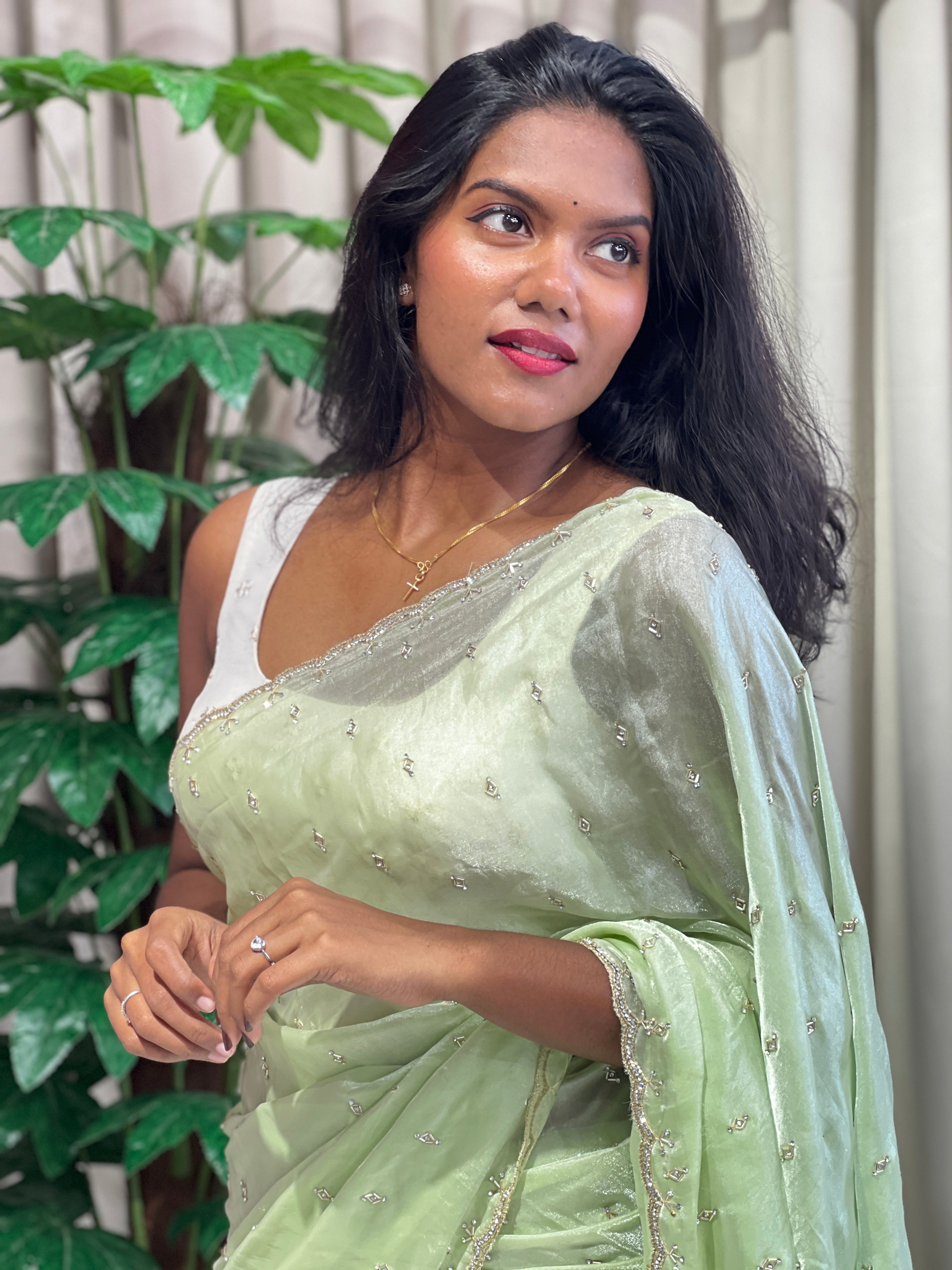 Cut Beads And Sticky Stone Detailed Shimmer Organza Saree | SGS149