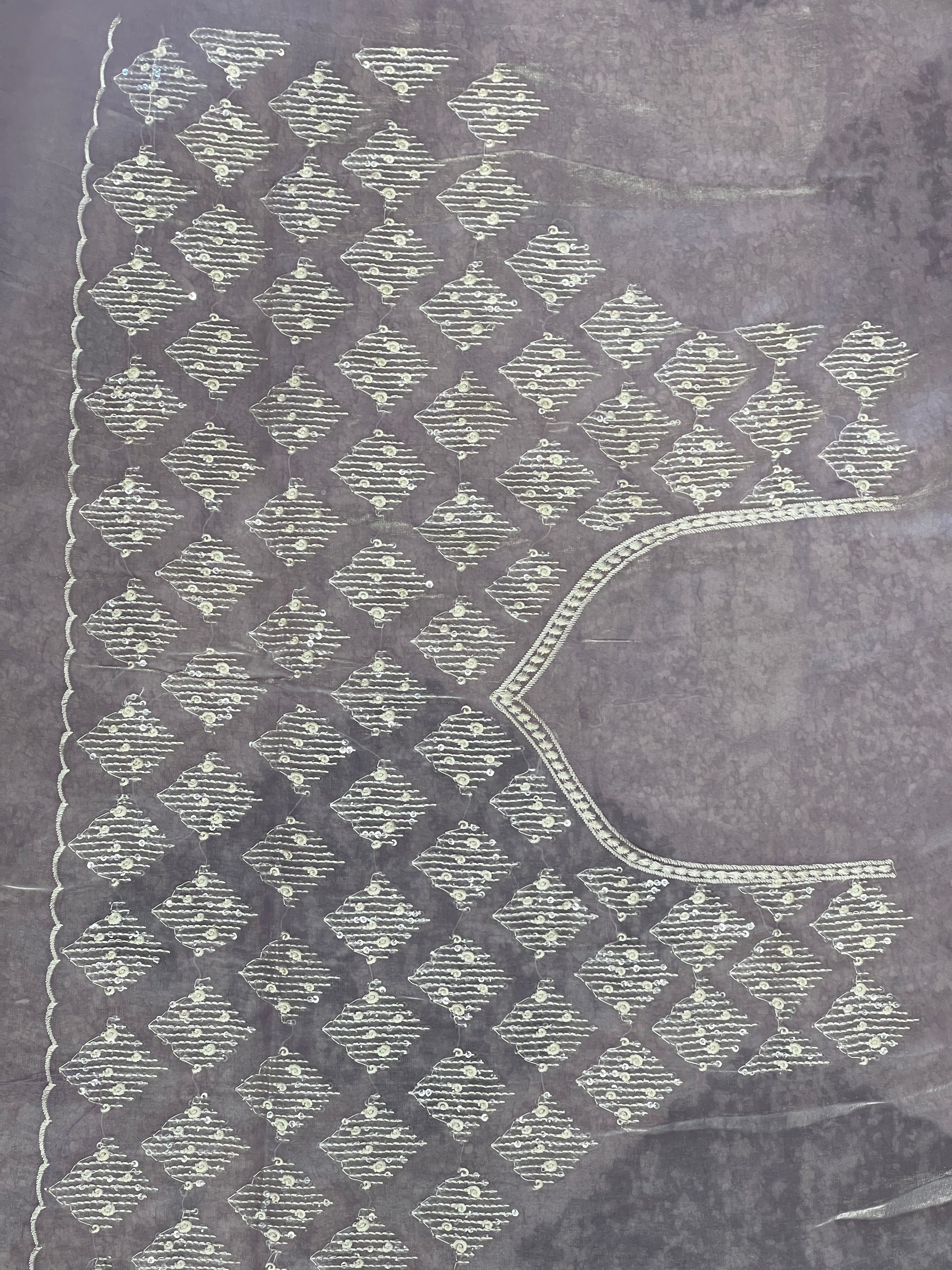 Machine Embroidery Detailed Velvet Georgette Saree | BLD1762