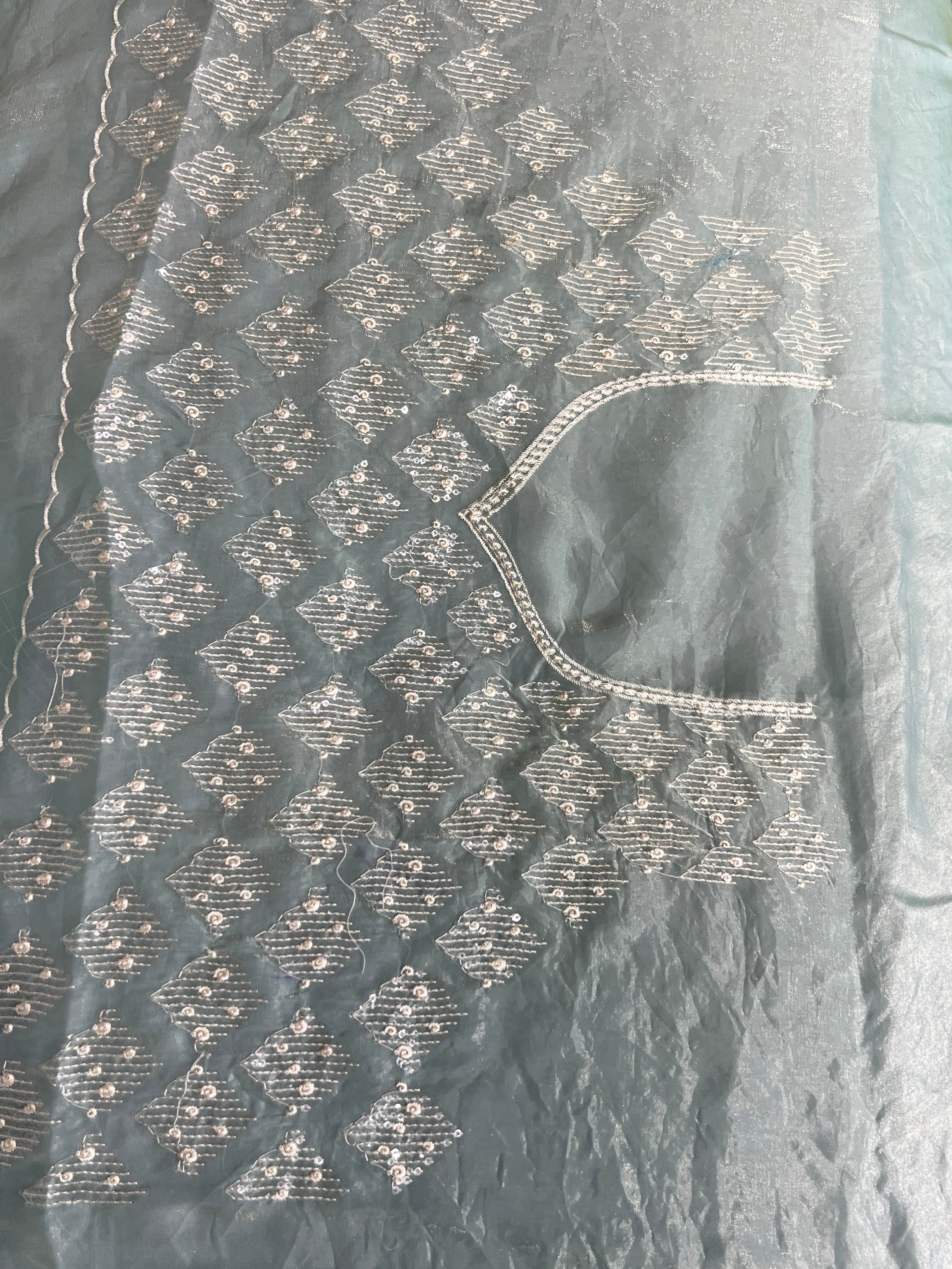 Machine Embroidery Detailed Velvet Georgette Saree | BLD1766