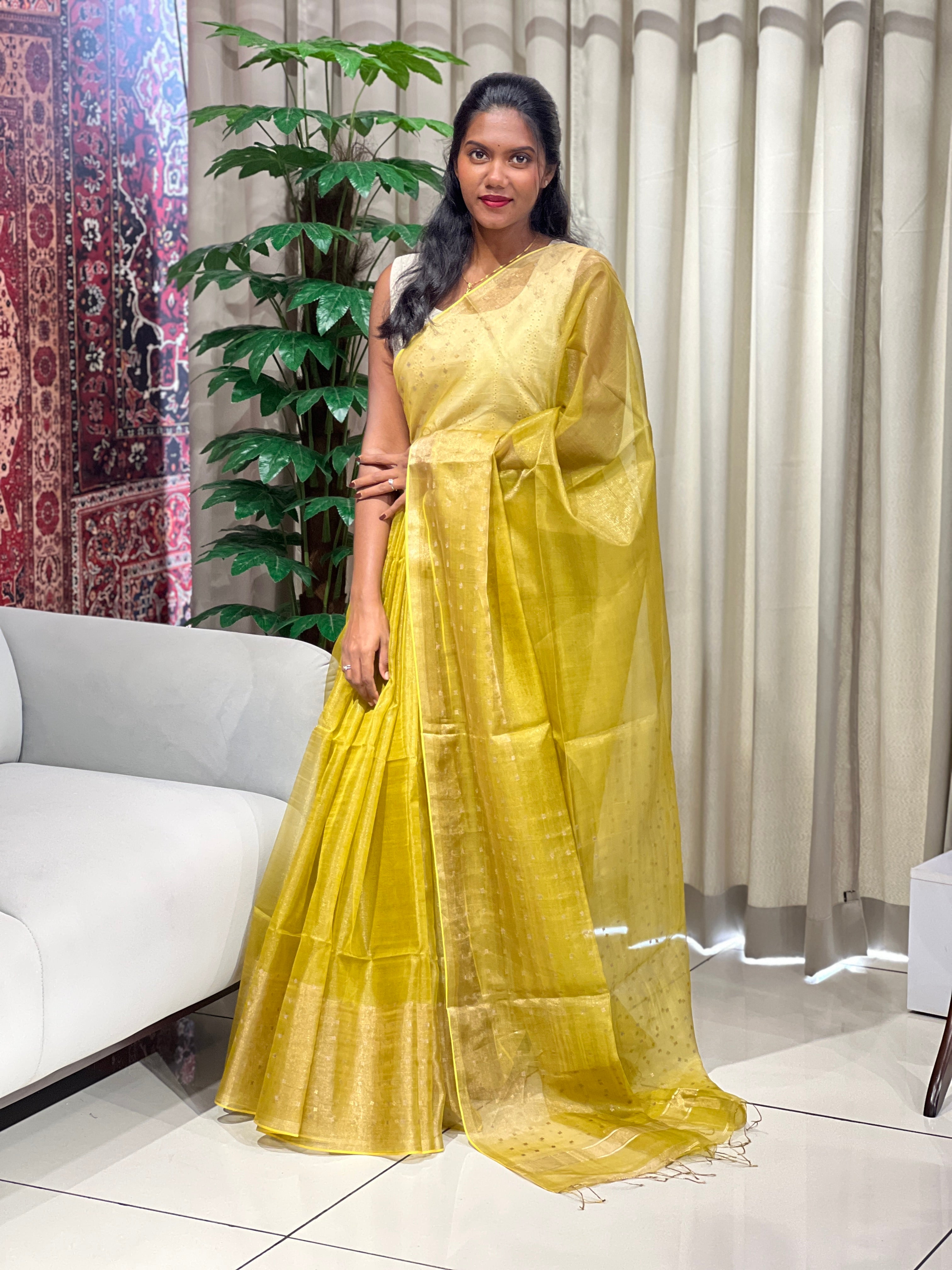 Metal Pital & Zari Woven Pure Organza Saree | EVA131