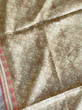 Digital Print With Mirror Worked Tussar Saree | RGD373