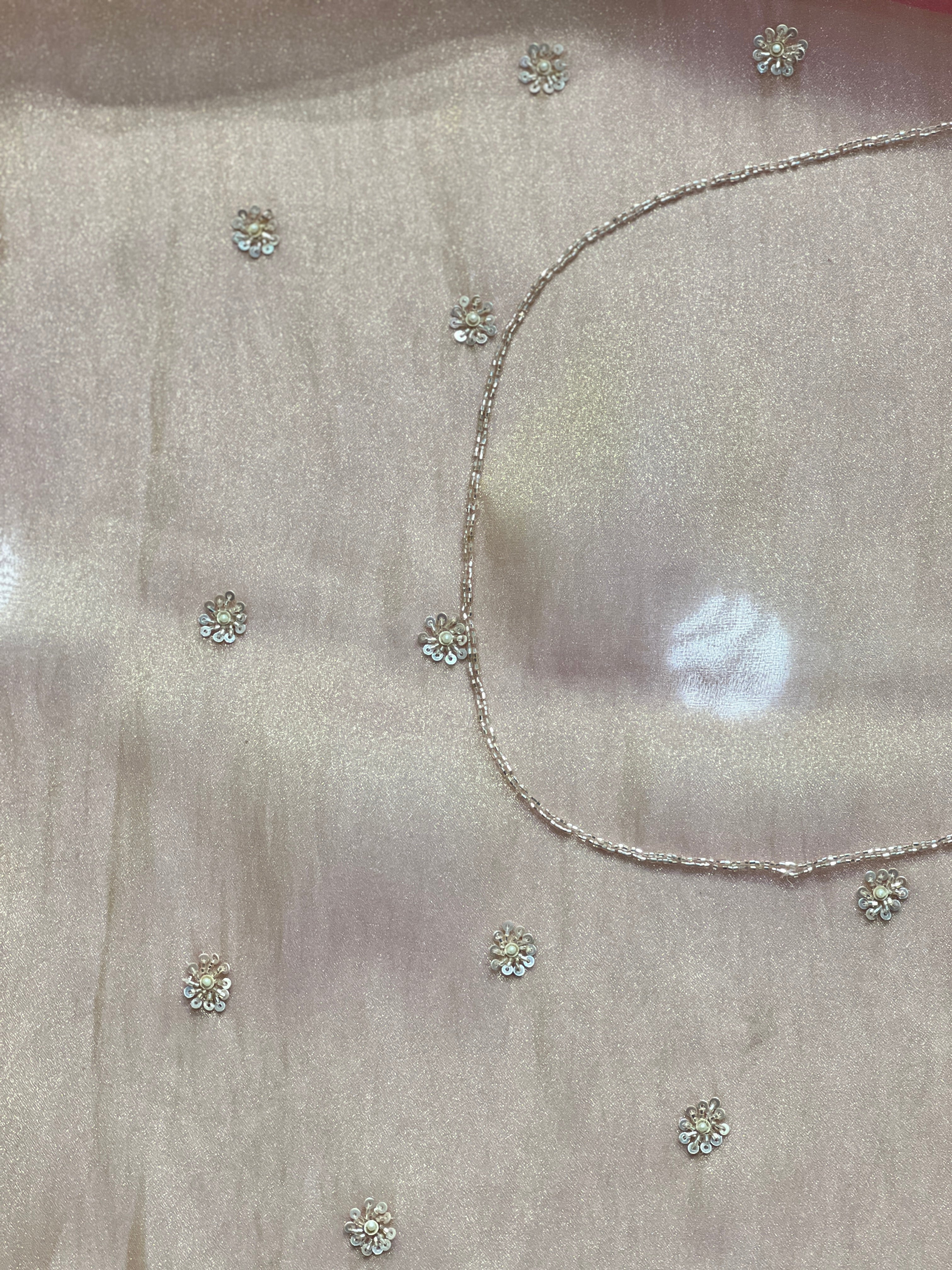 Sequins & Beads Work Detailed Shimmer Organza Saree | SGS141