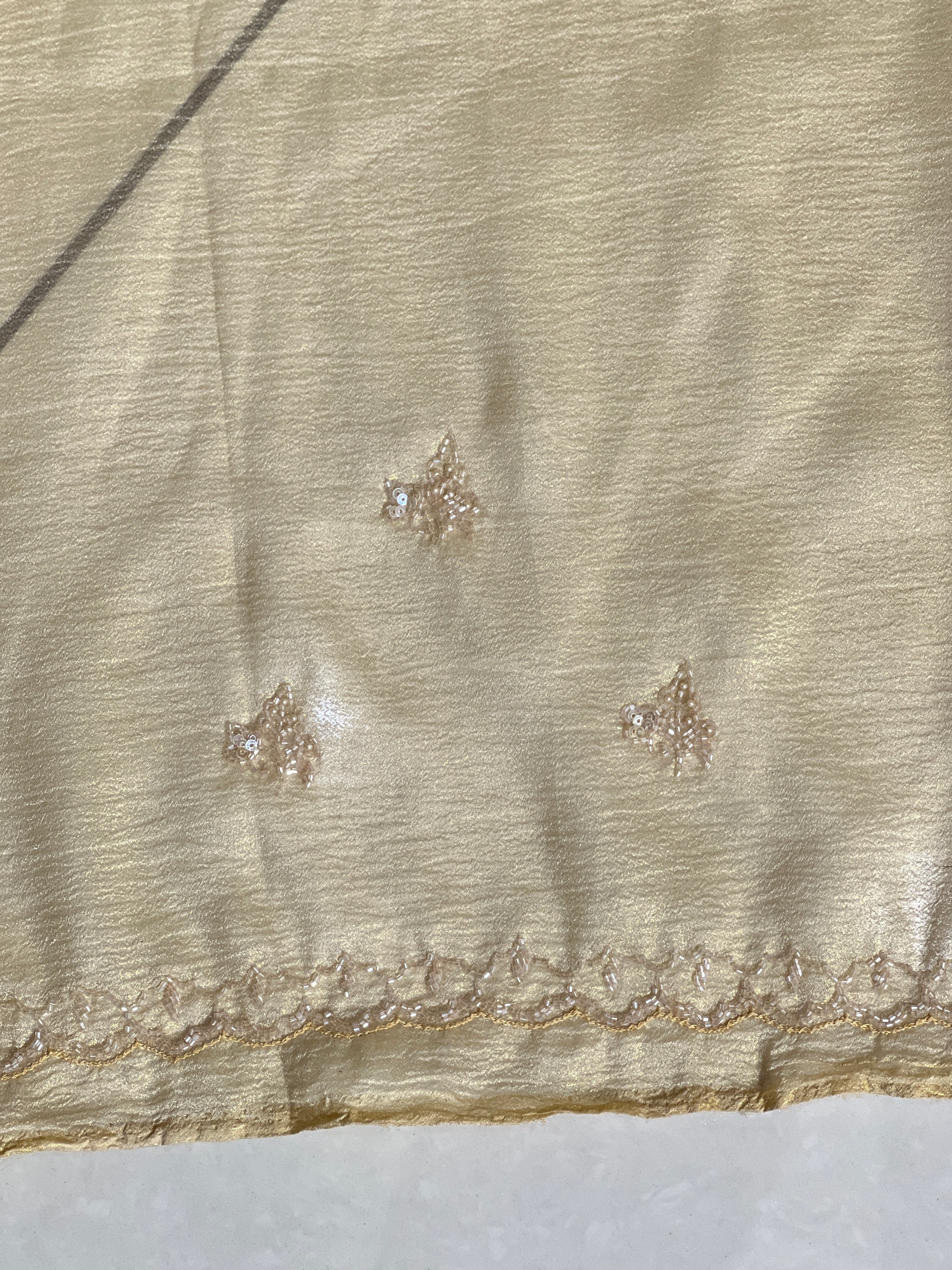 Machine Embroidery Detailed Crushed Tissue Organza Saree | SGS150