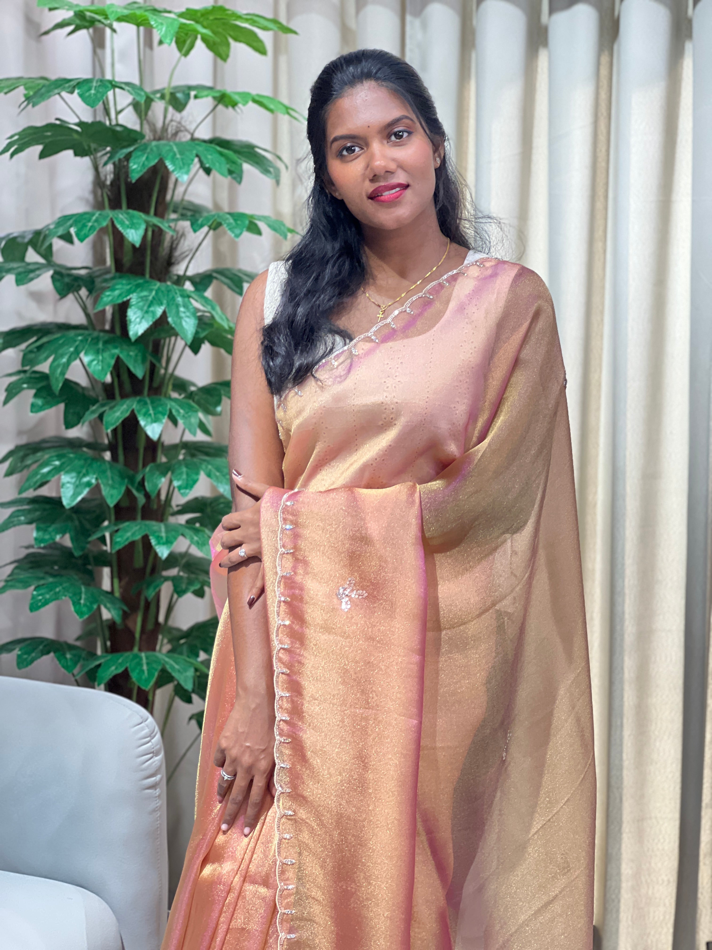 Cut Beads And Sticky Stone Detailed Tissue Organza Saree | SGS135