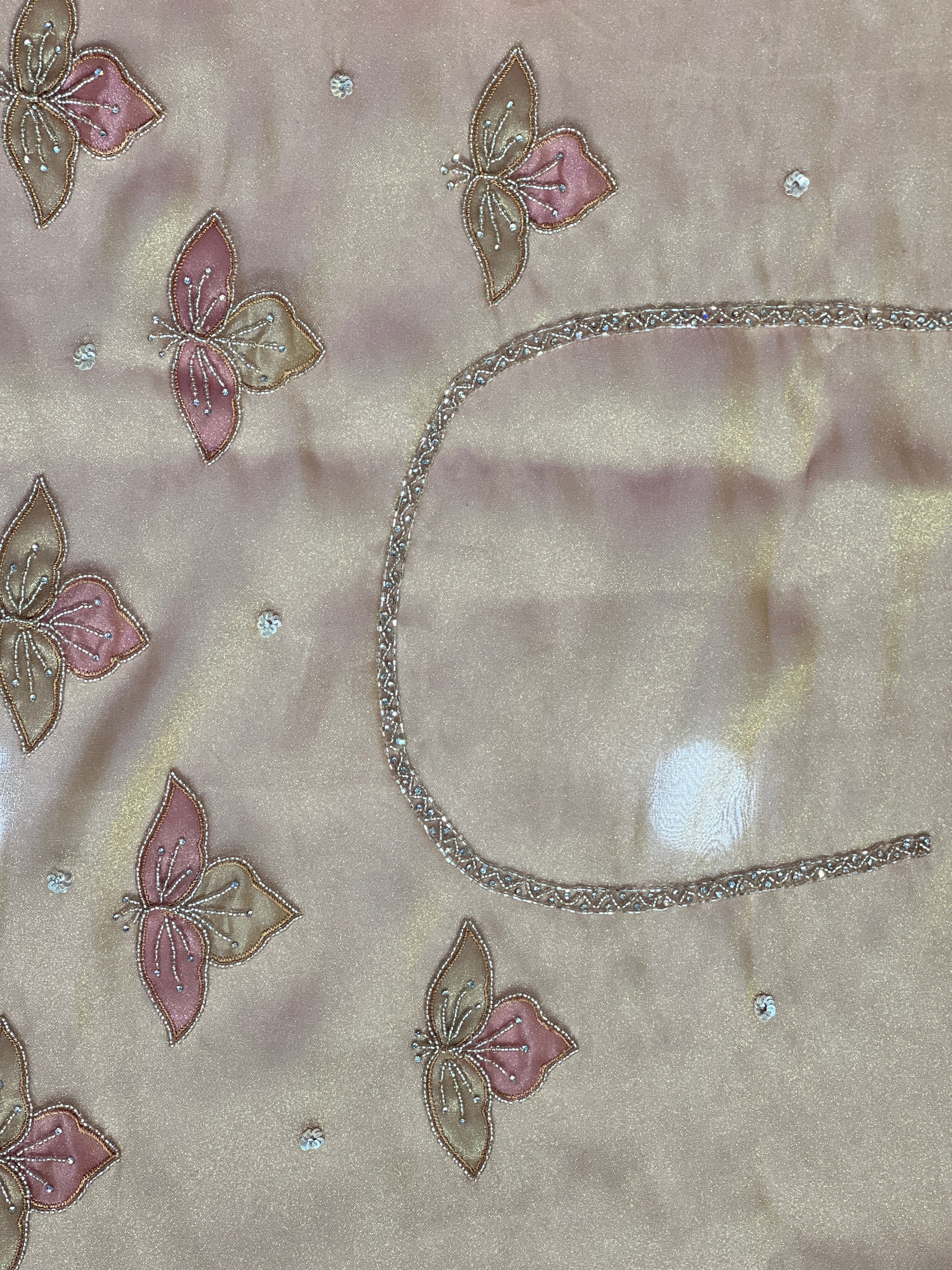 Cut Beads And Sticky Stone Detailed Tissue Organza Saree | SGS135