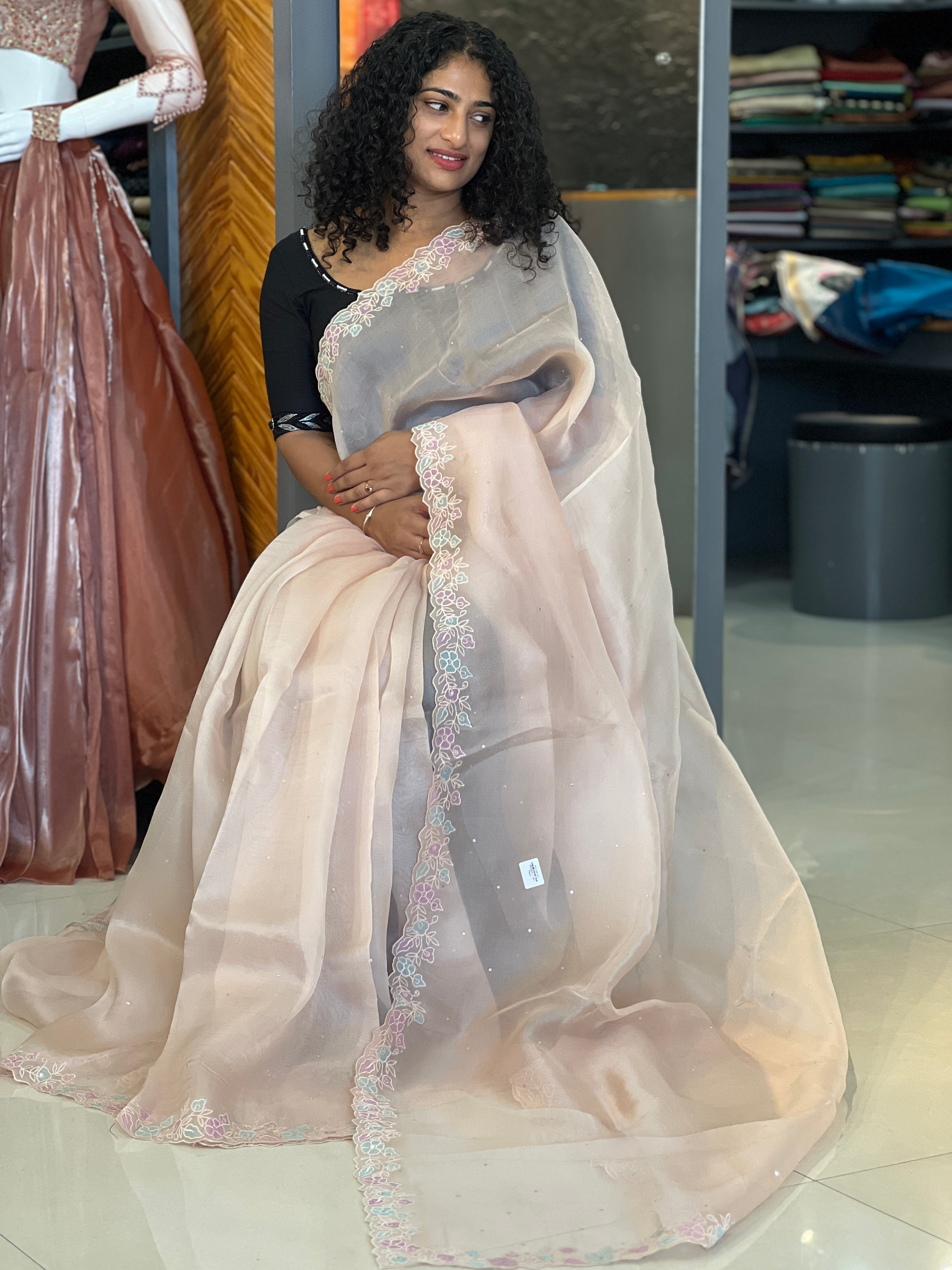 Applique Work Organza Saree | SBS824