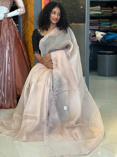 Applique Work Organza Saree | SBS824