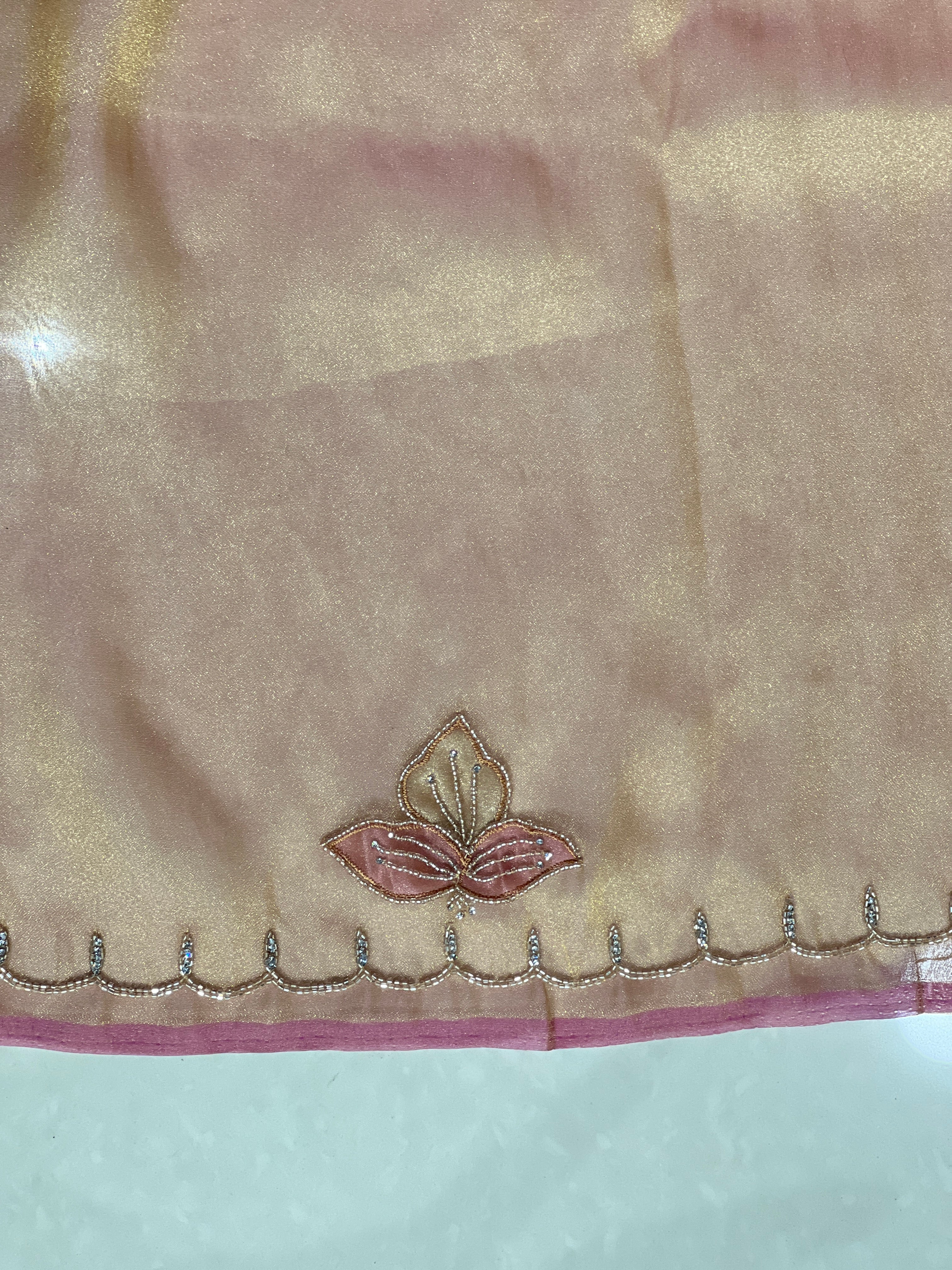 Cut Beads And Sticky Stone Detailed Tissue Organza Saree | SGS135