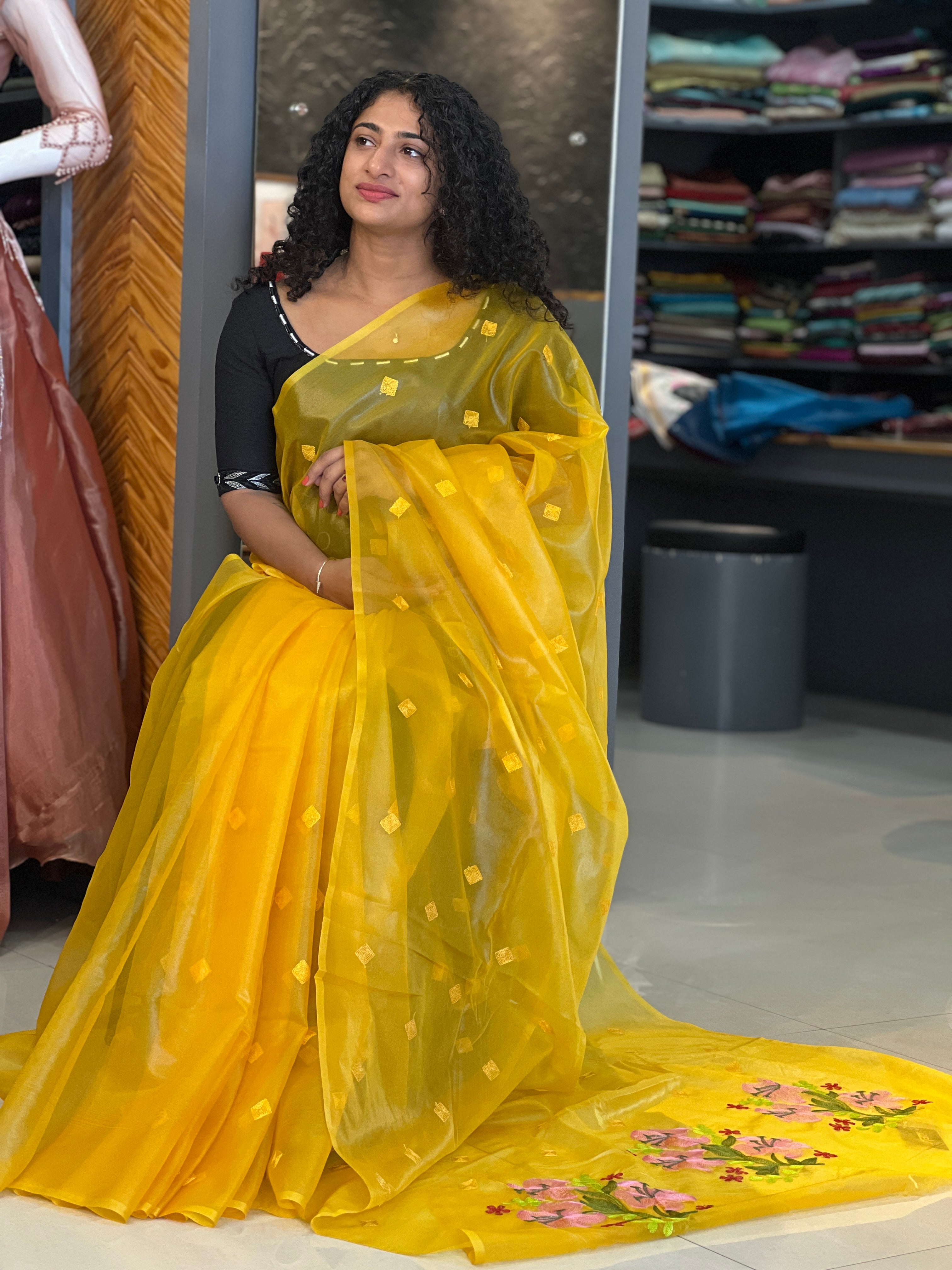 Diamond Motifs Nylon Organza Saree | NHH221