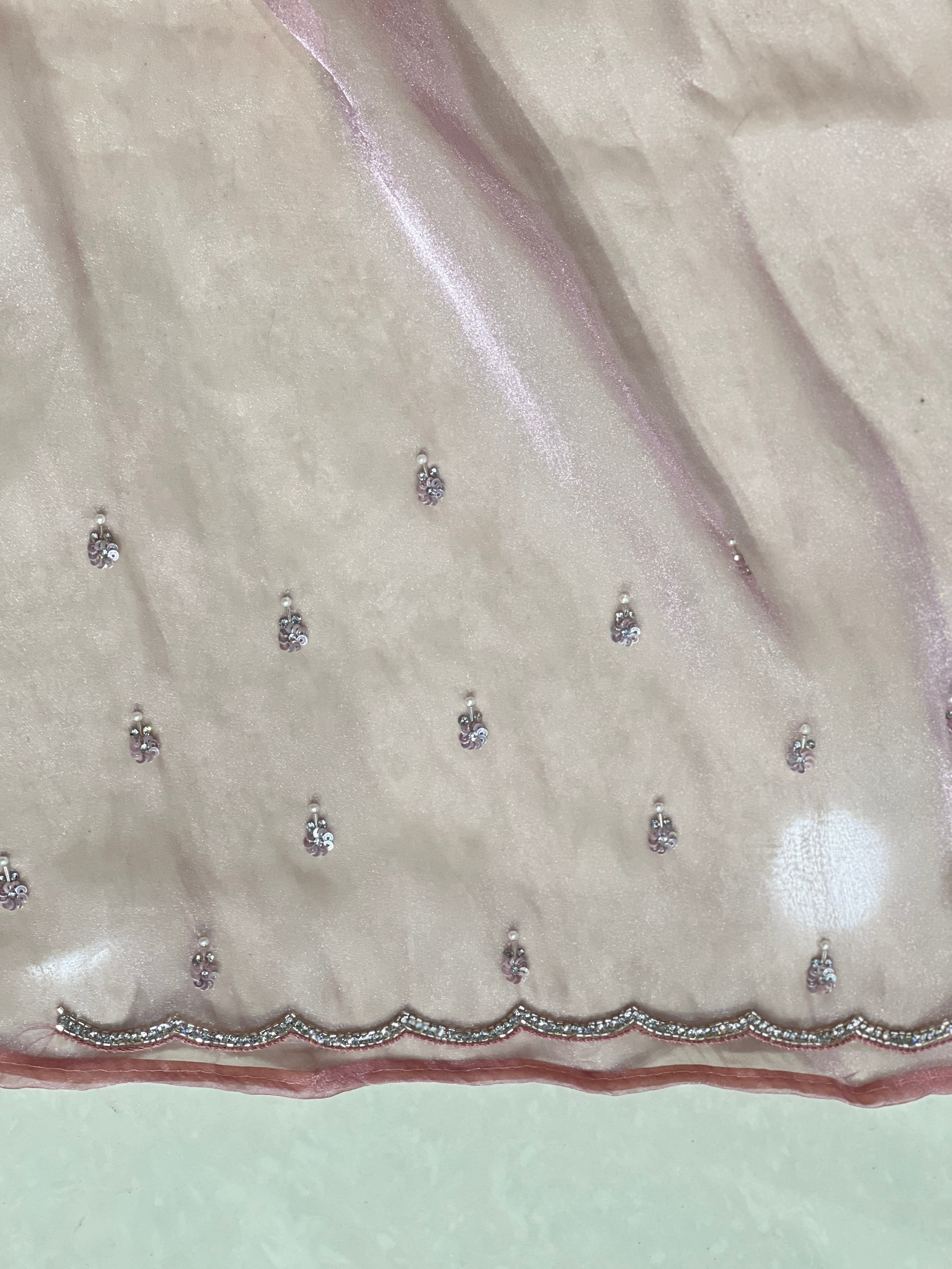 Cut Beads And Sticky Stone Detailed Shimmer Organza Saree | SGS138