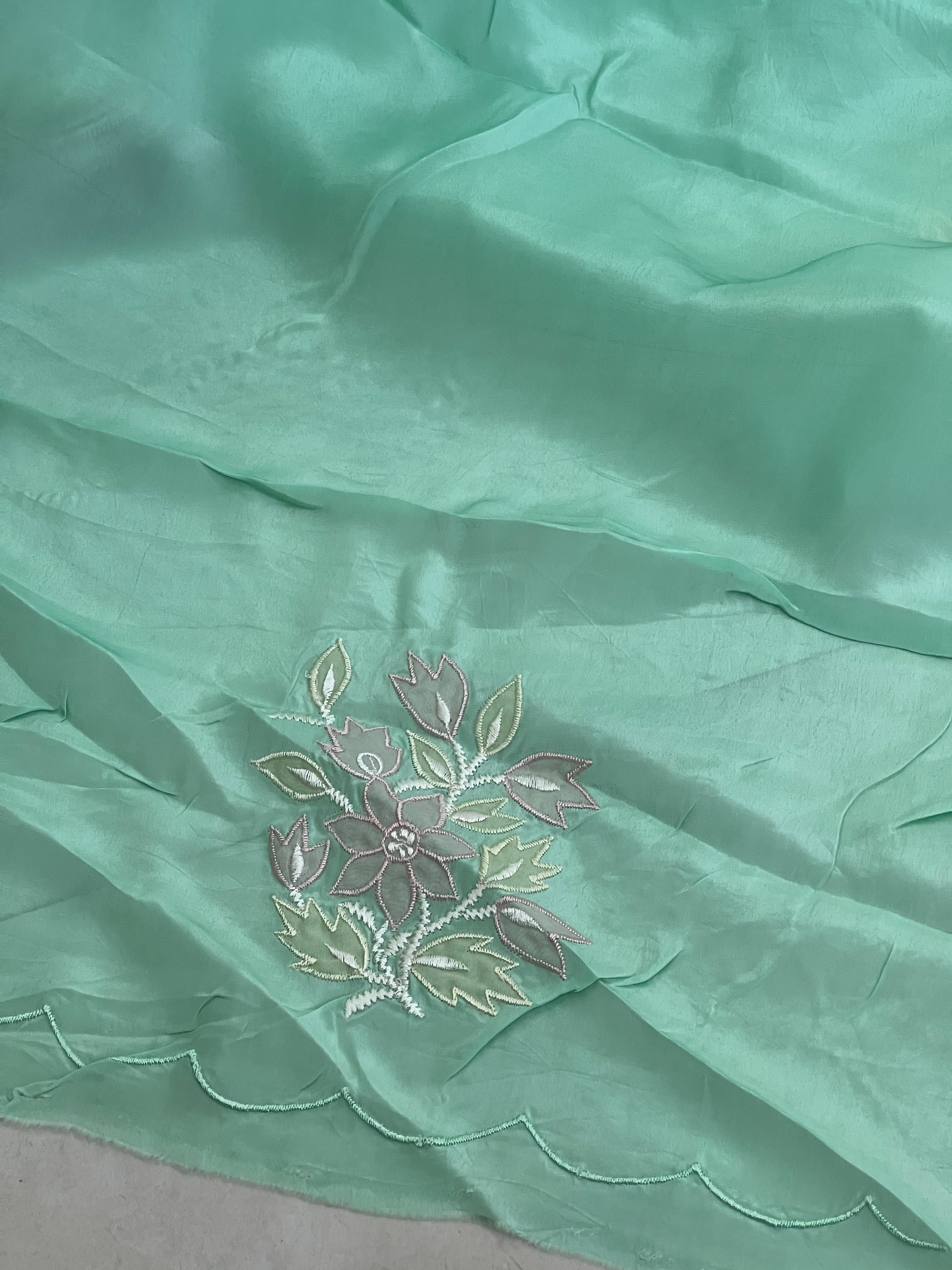 Applique Work Organza Saree | SBS820