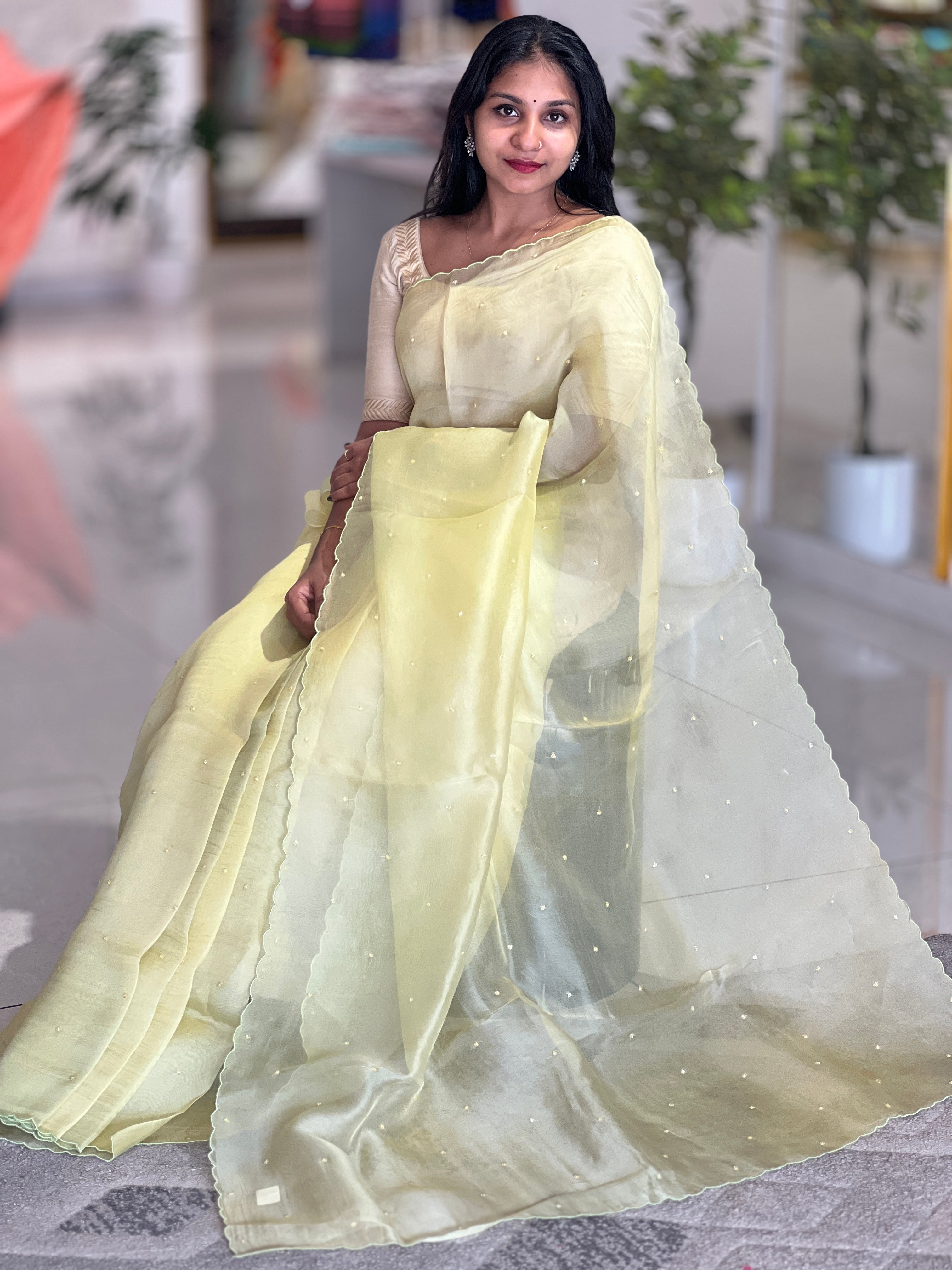Embroidery Detailed Organza Saree | SBS380