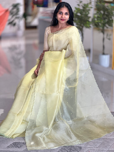 Embroidery Detailed Organza Saree | SBS380