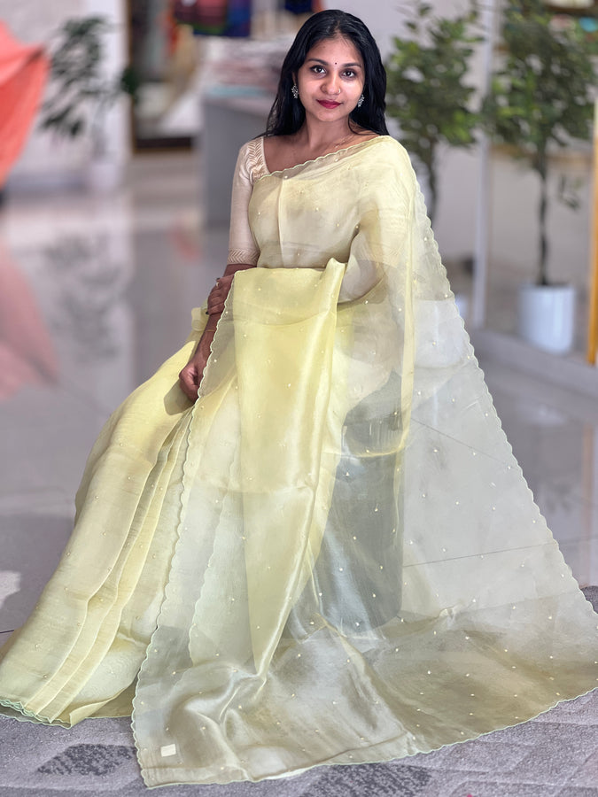 Embroidery Detailed Organza Saree | SBS380
