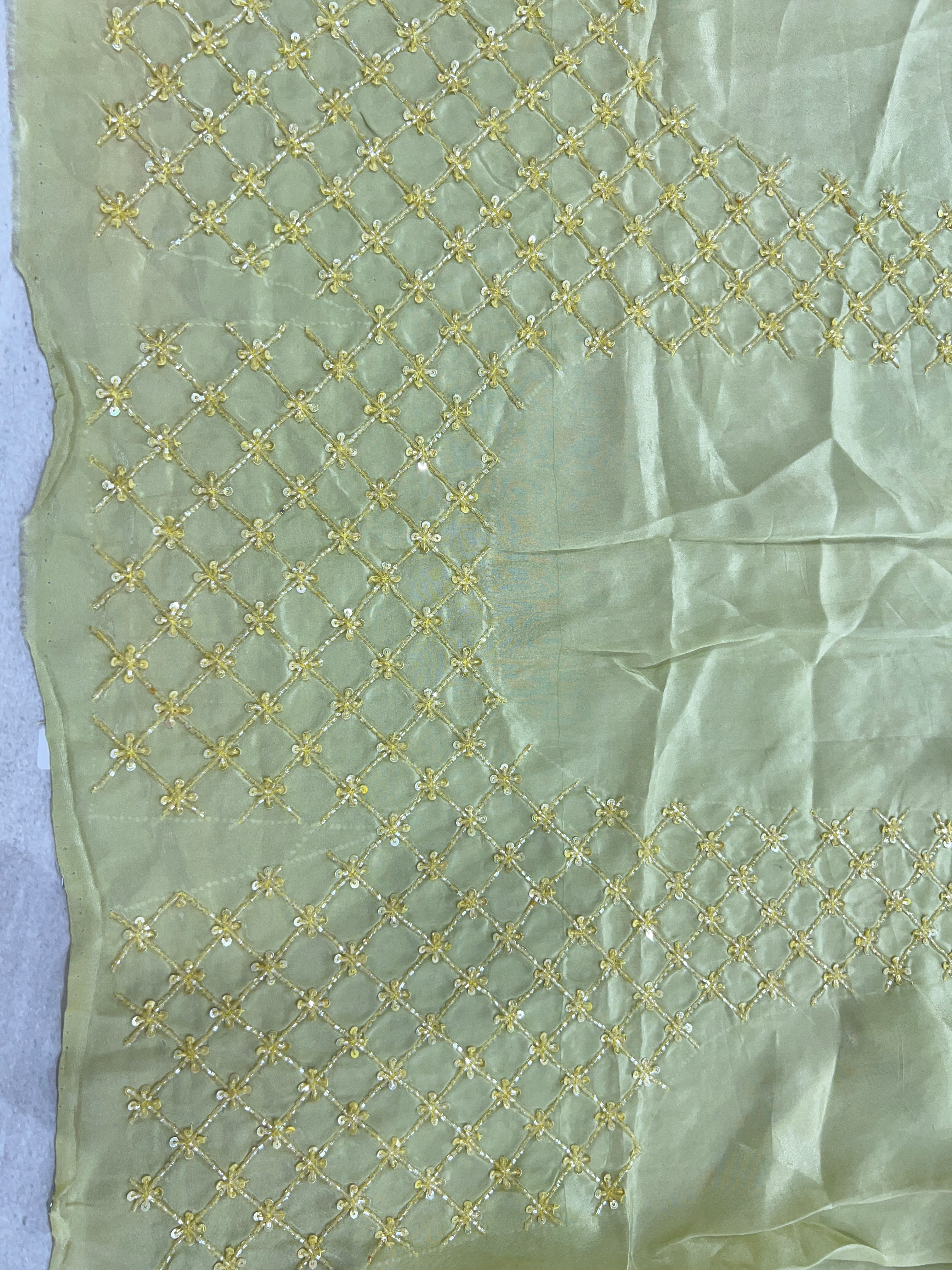 Embroidery Detailed Organza Saree | SBS380