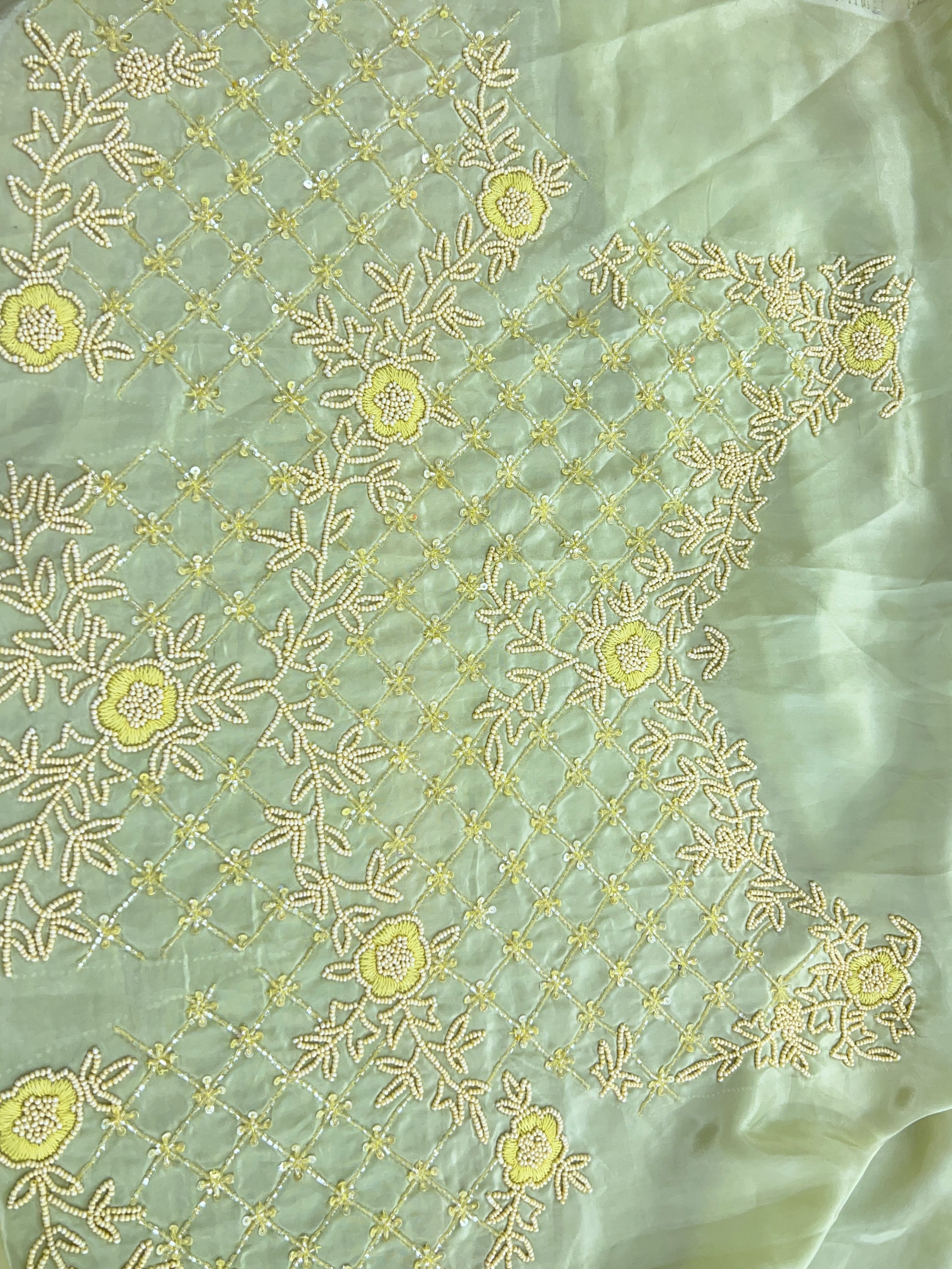 Embroidery Detailed Organza Saree | SBS380