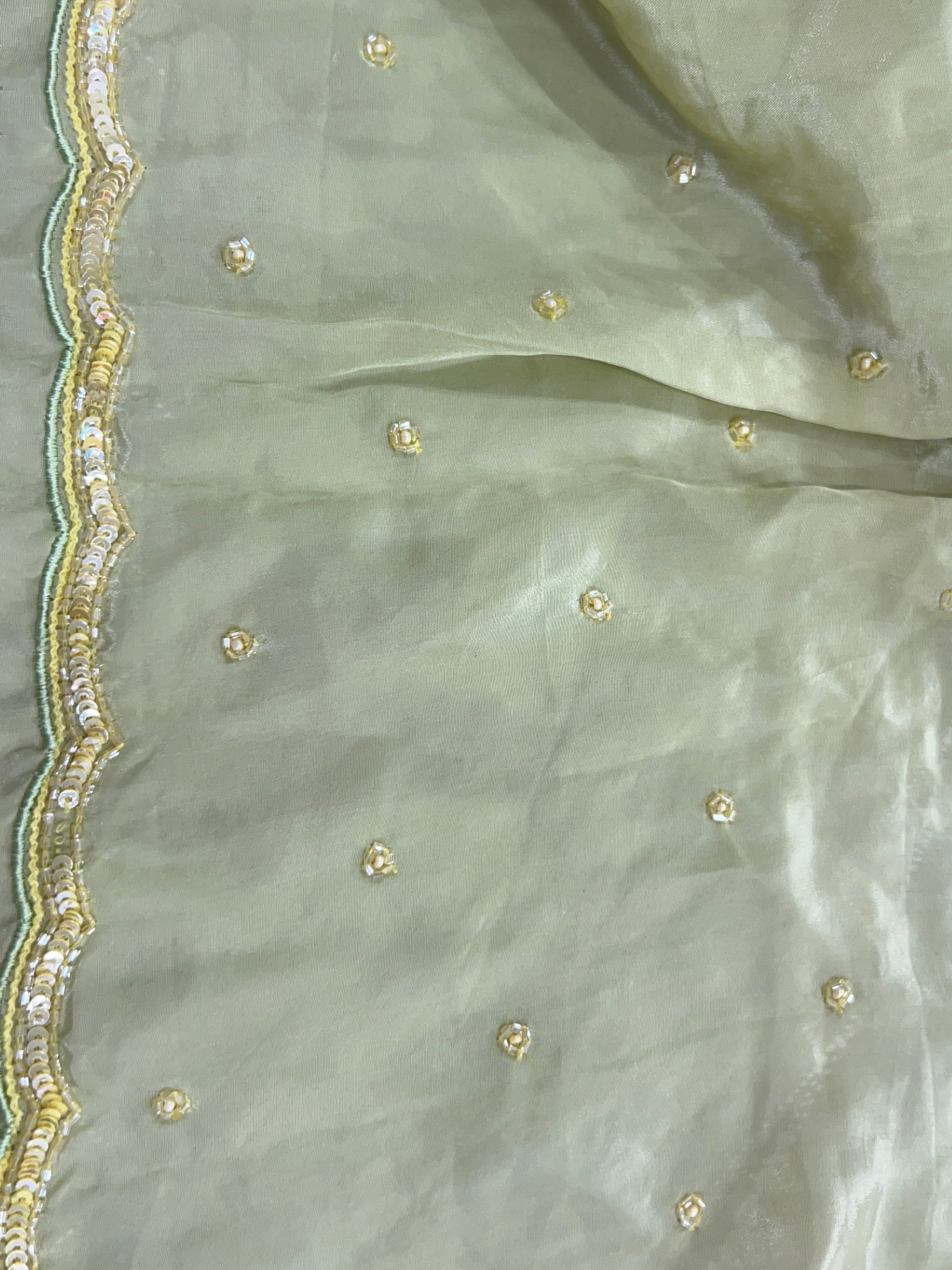 Embroidery Detailed Organza Saree | SBS380