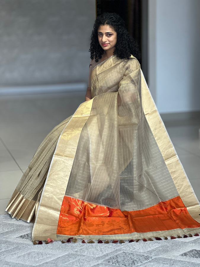 Zari Check Patterned Organza Saree | RGD555