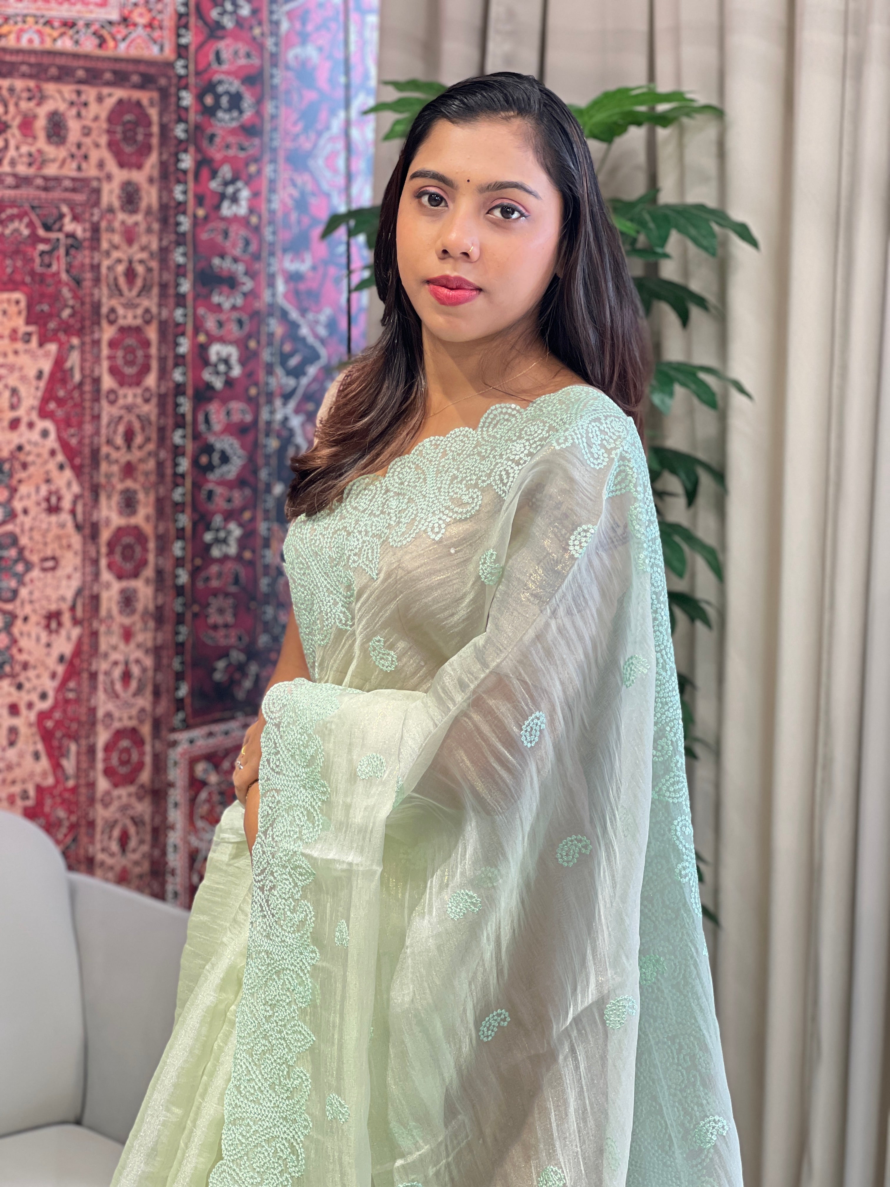 Machine Embroidery Detailed Shimmer Organza Saree | BLD1830