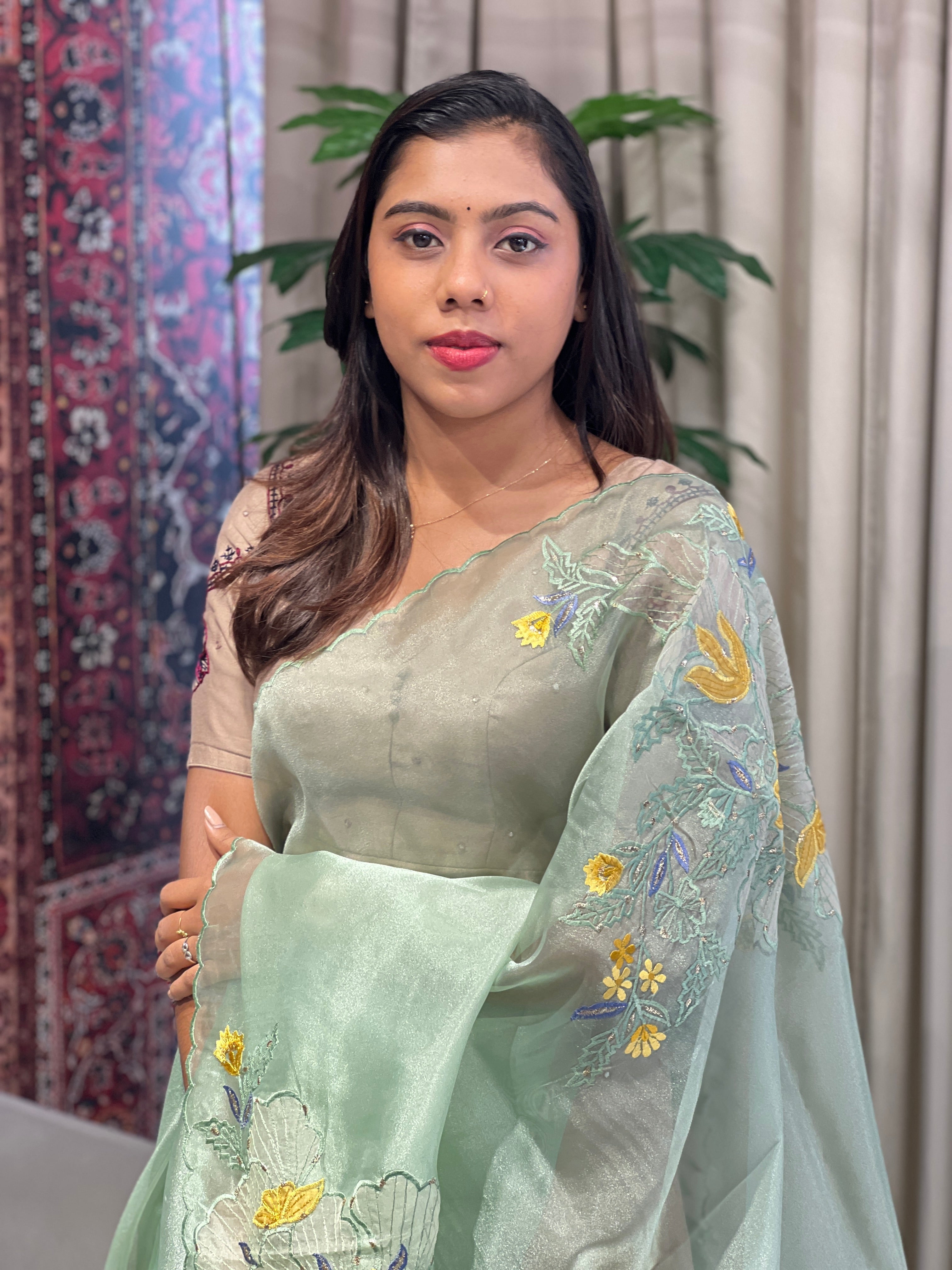 Floral Applique Detailed Shimmer Organza Saree | BLD1845