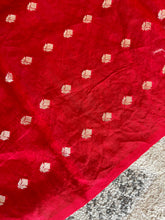 Floral Applique Detailed Organza Saree | MM118