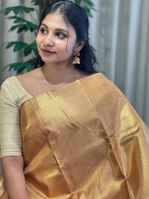Traditional Diagonal Patterned Handloom Kanchipuram Saree | OM262