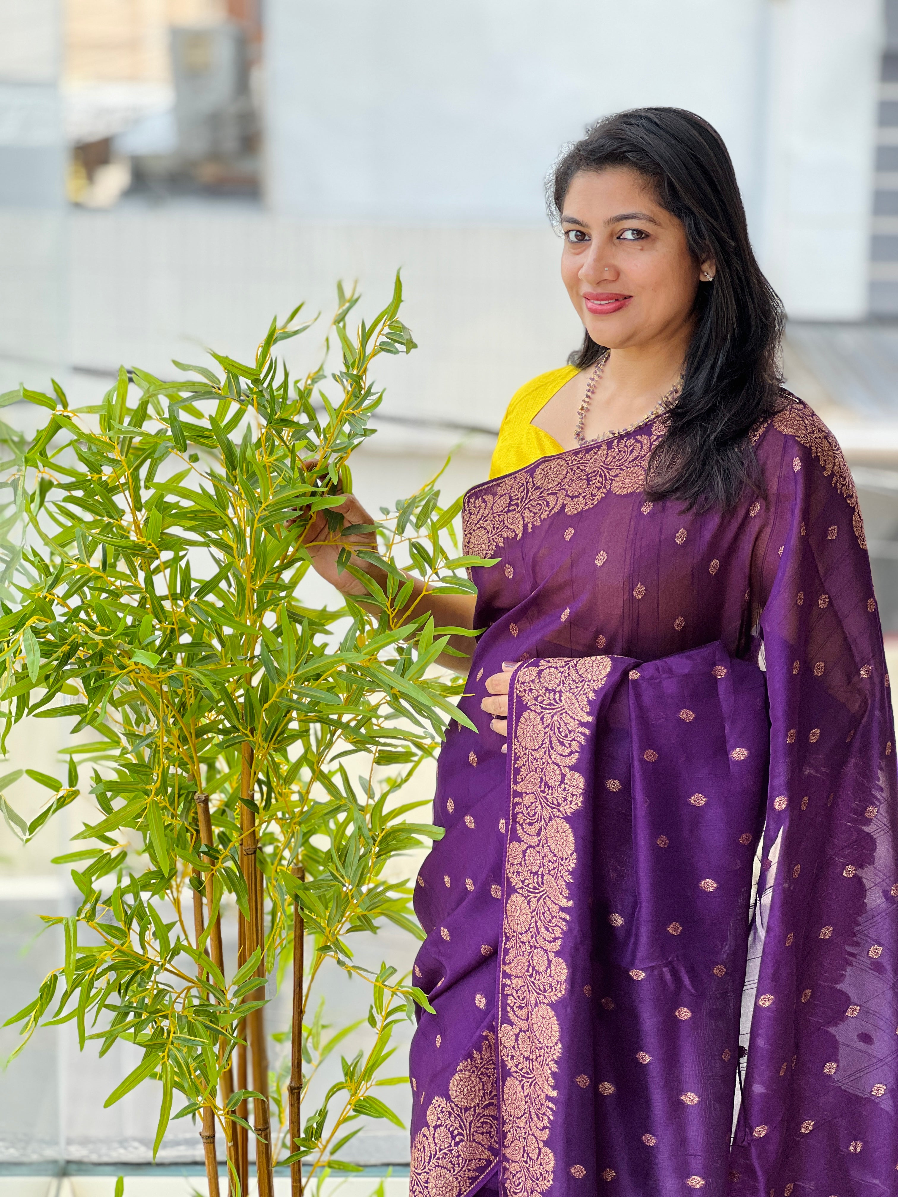 Banarasi Weaving Patterned Semi Tussar Saree |YNG1260