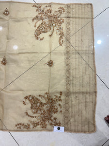 Hand Embroidered Tissue Organza Saree | BLD546