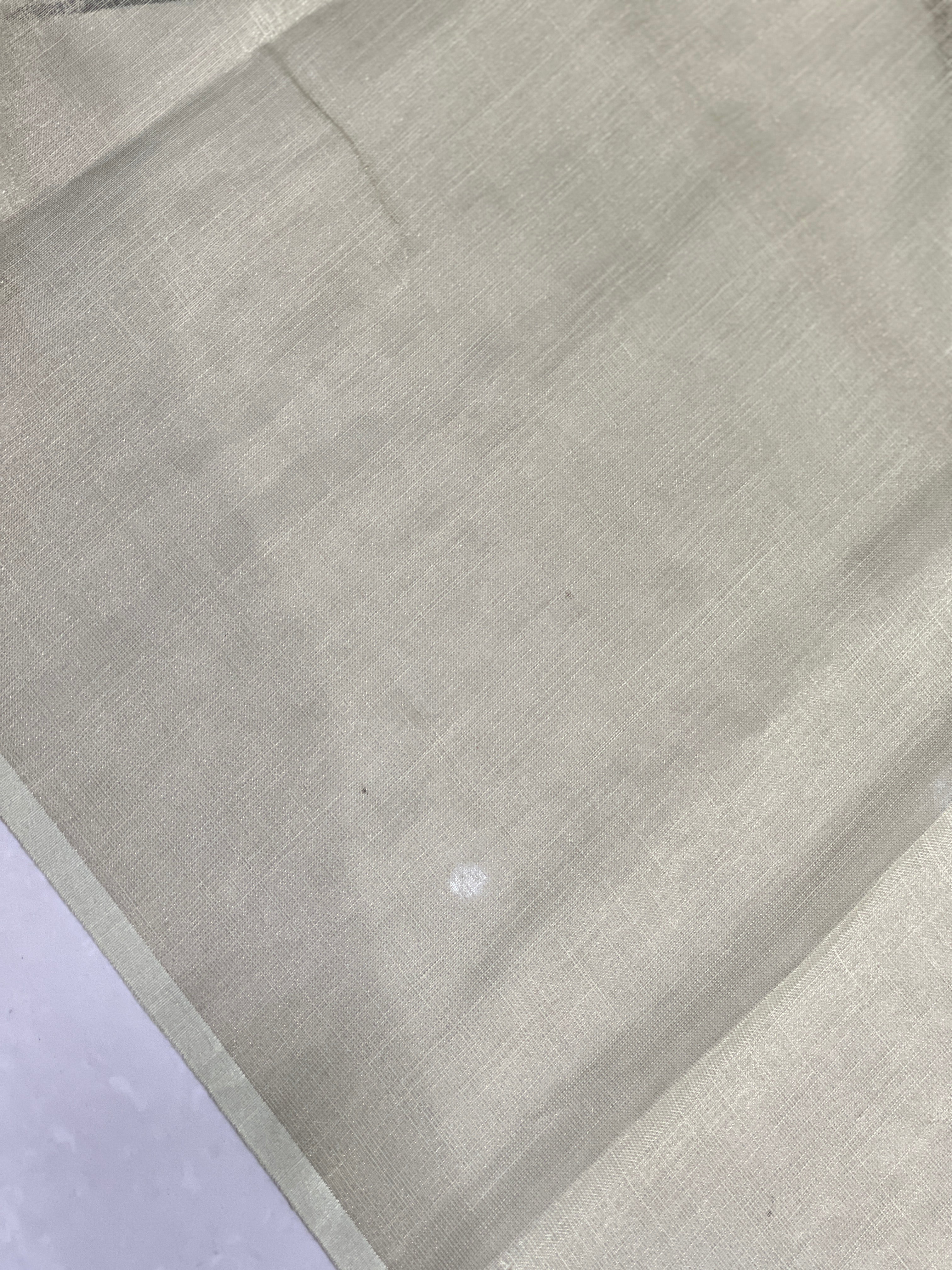 Floral Printed Tissue Linen Saree | BLD1752