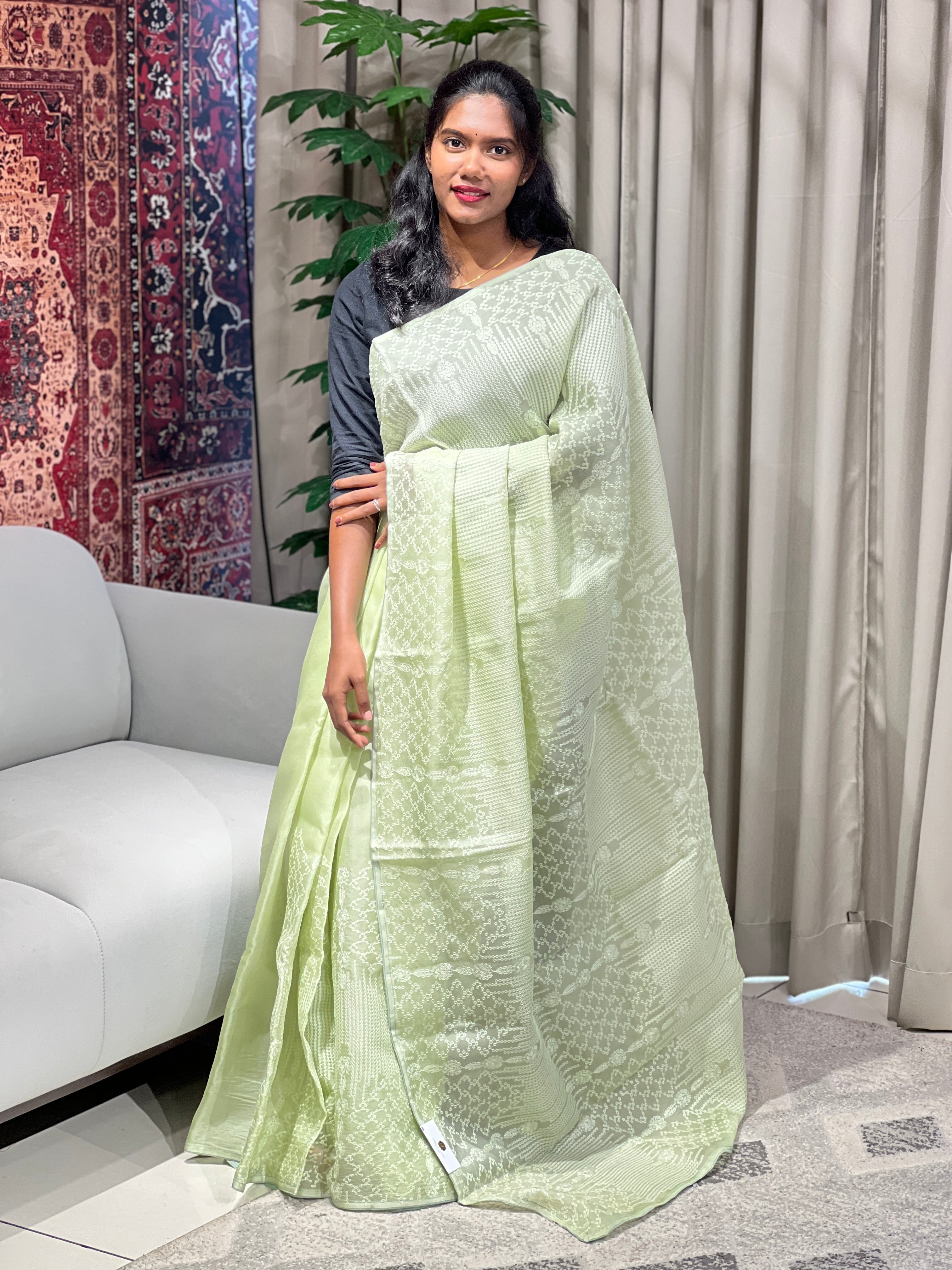 Machine Embroidery Detailed Pure Organza Saree | YNG818