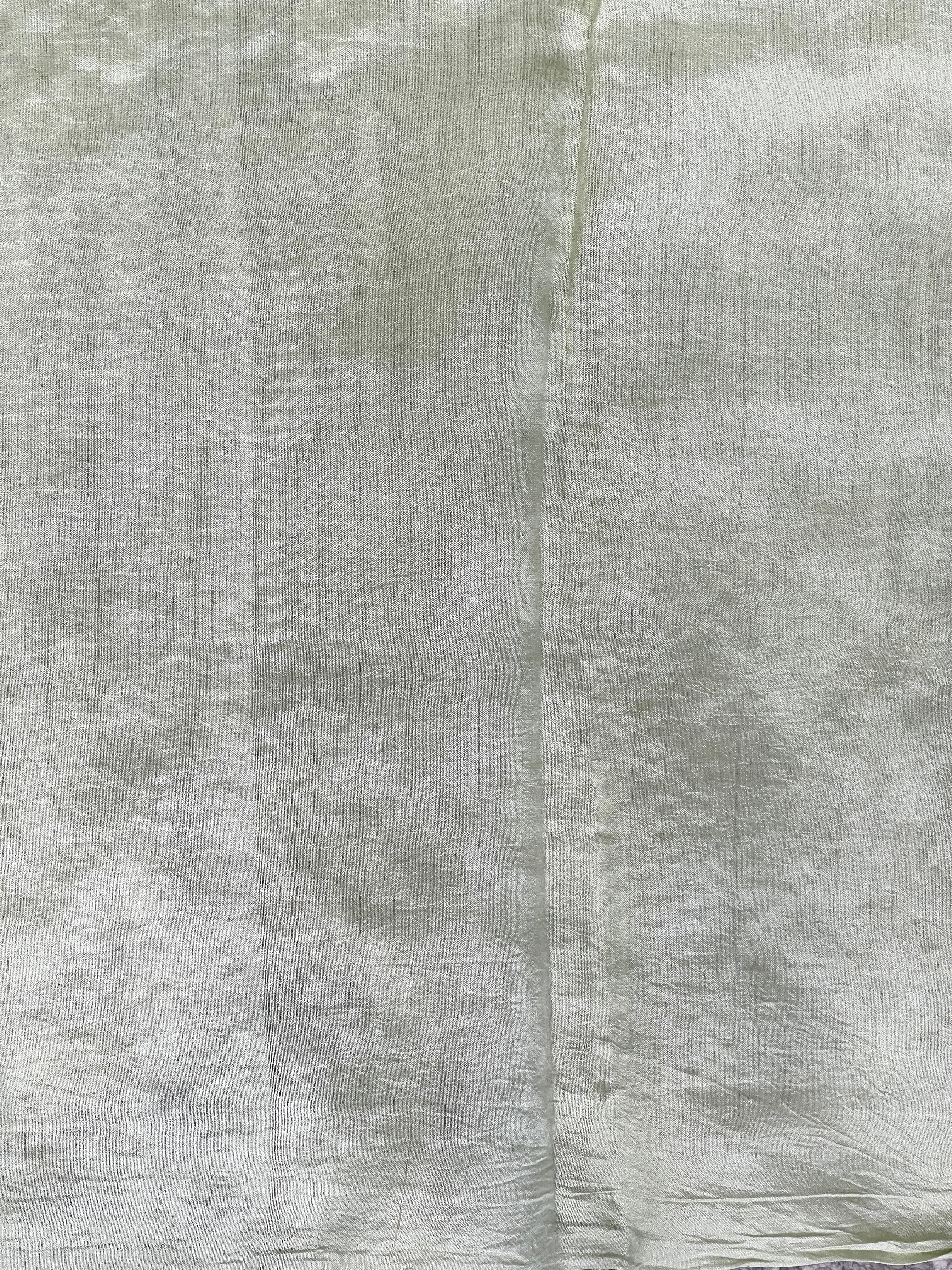 Machine Embroidery Detailed Pure Organza Saree | YNG818