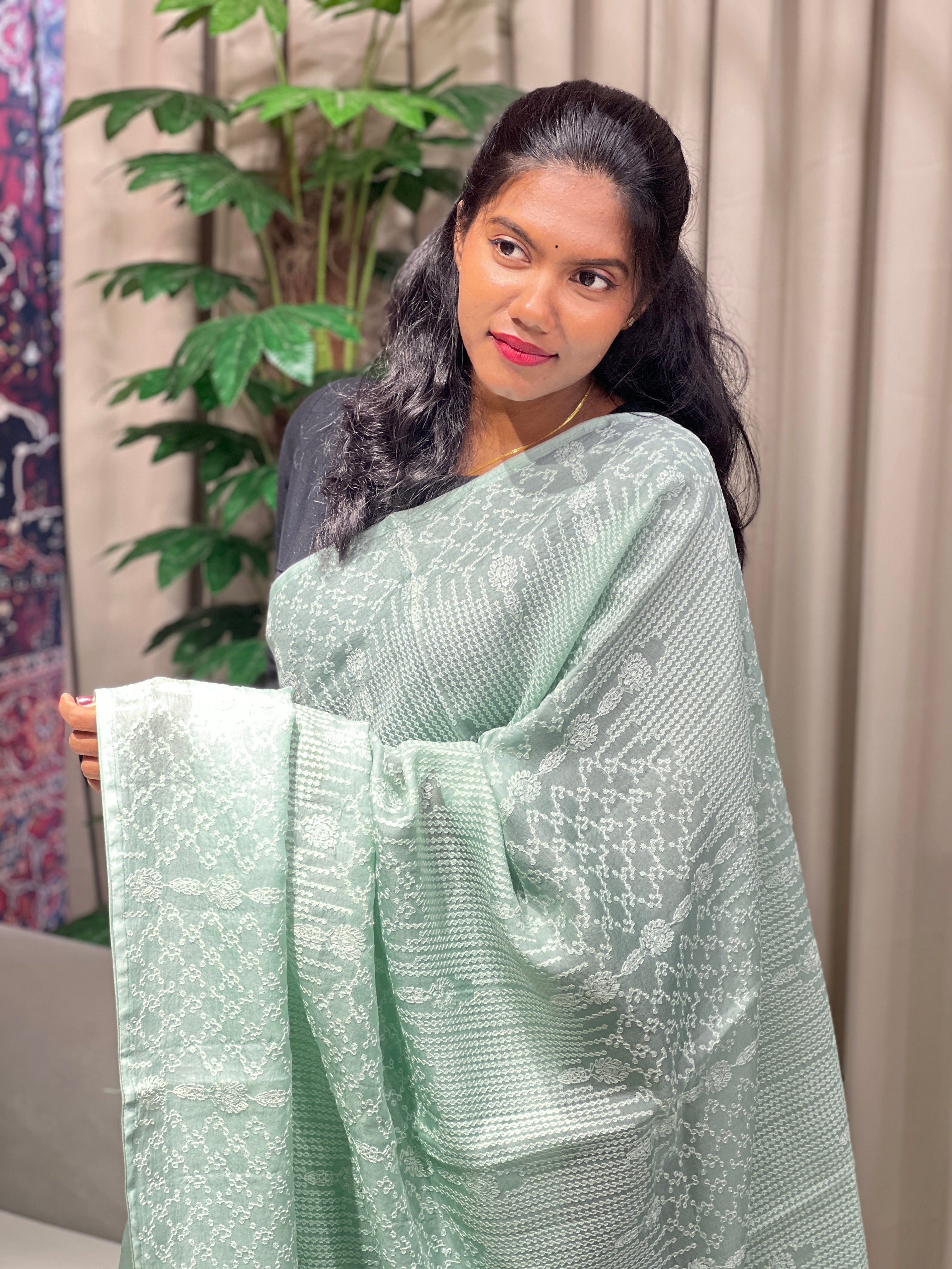 Machine Embroidery Detailed Pure Organza Saree | YNG819