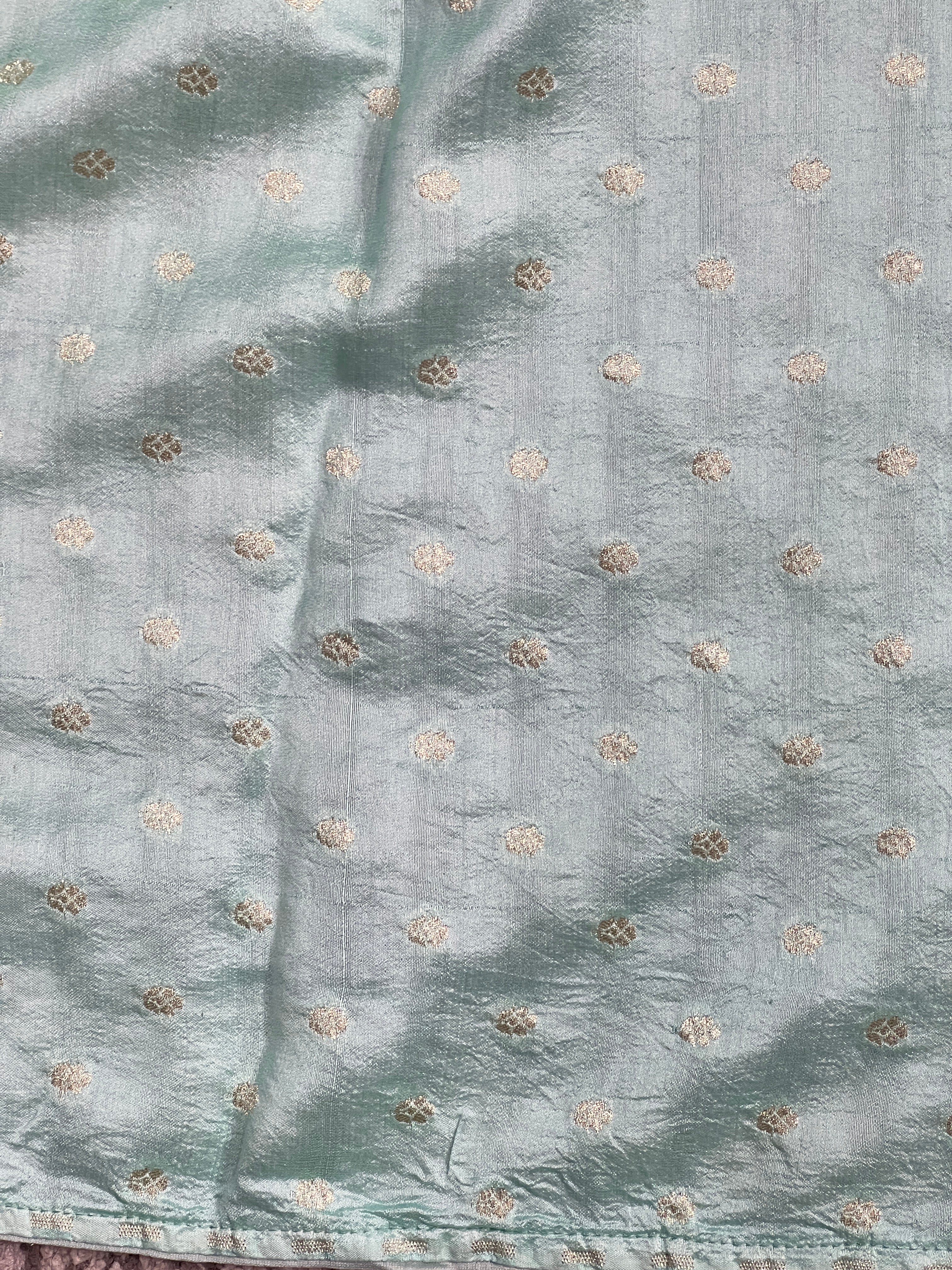 Machine Embroidery Detailed Pure Organza Saree | YNG819