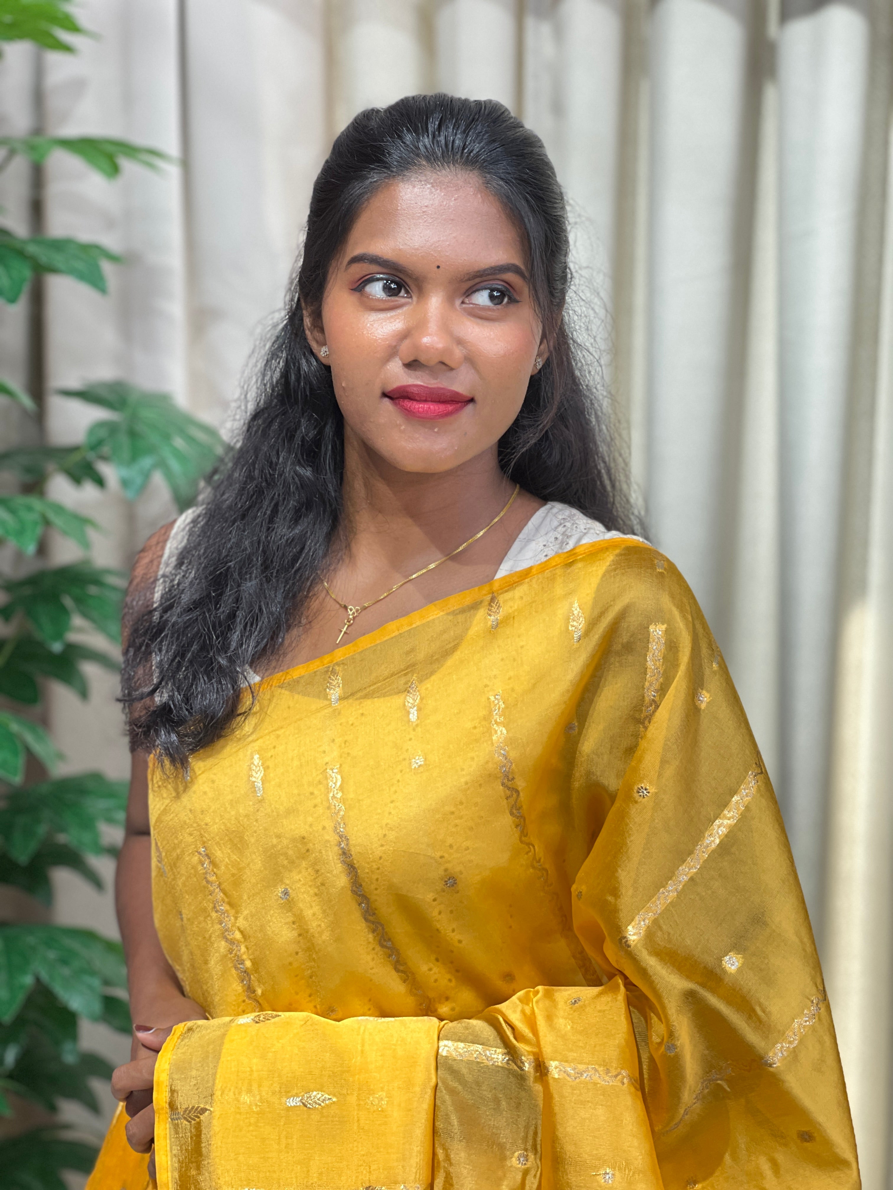 Zari Woven Semi Silk Saree | NN466