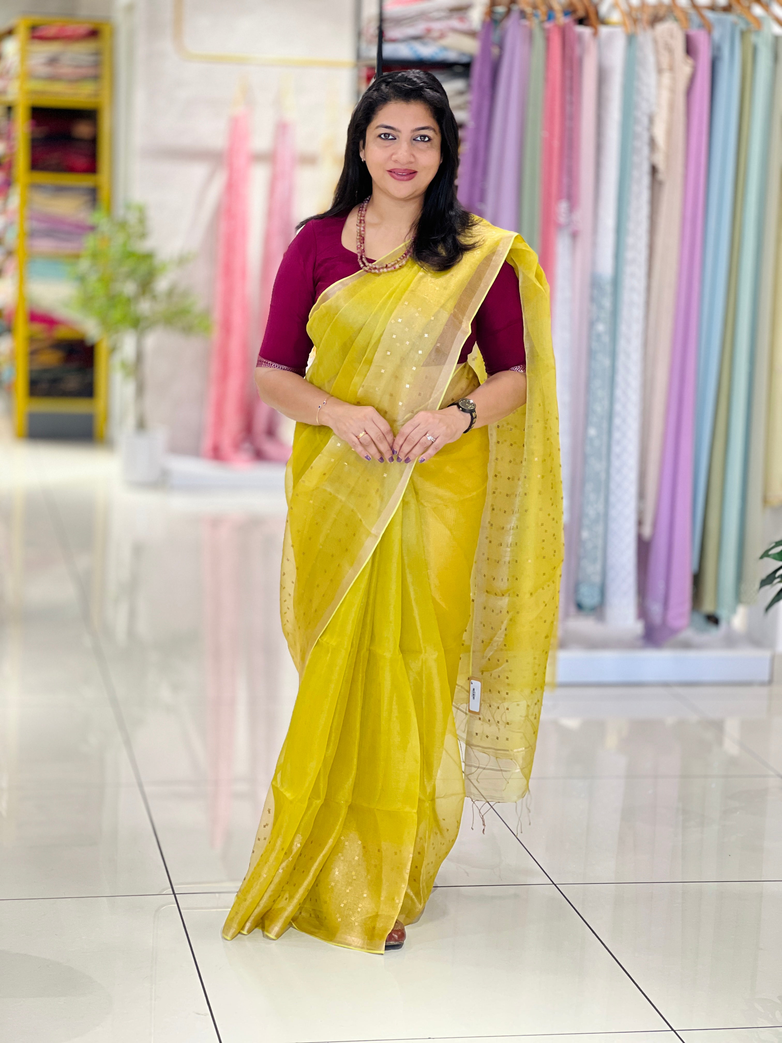 Basket Weaved Tissue Saree | EVA138