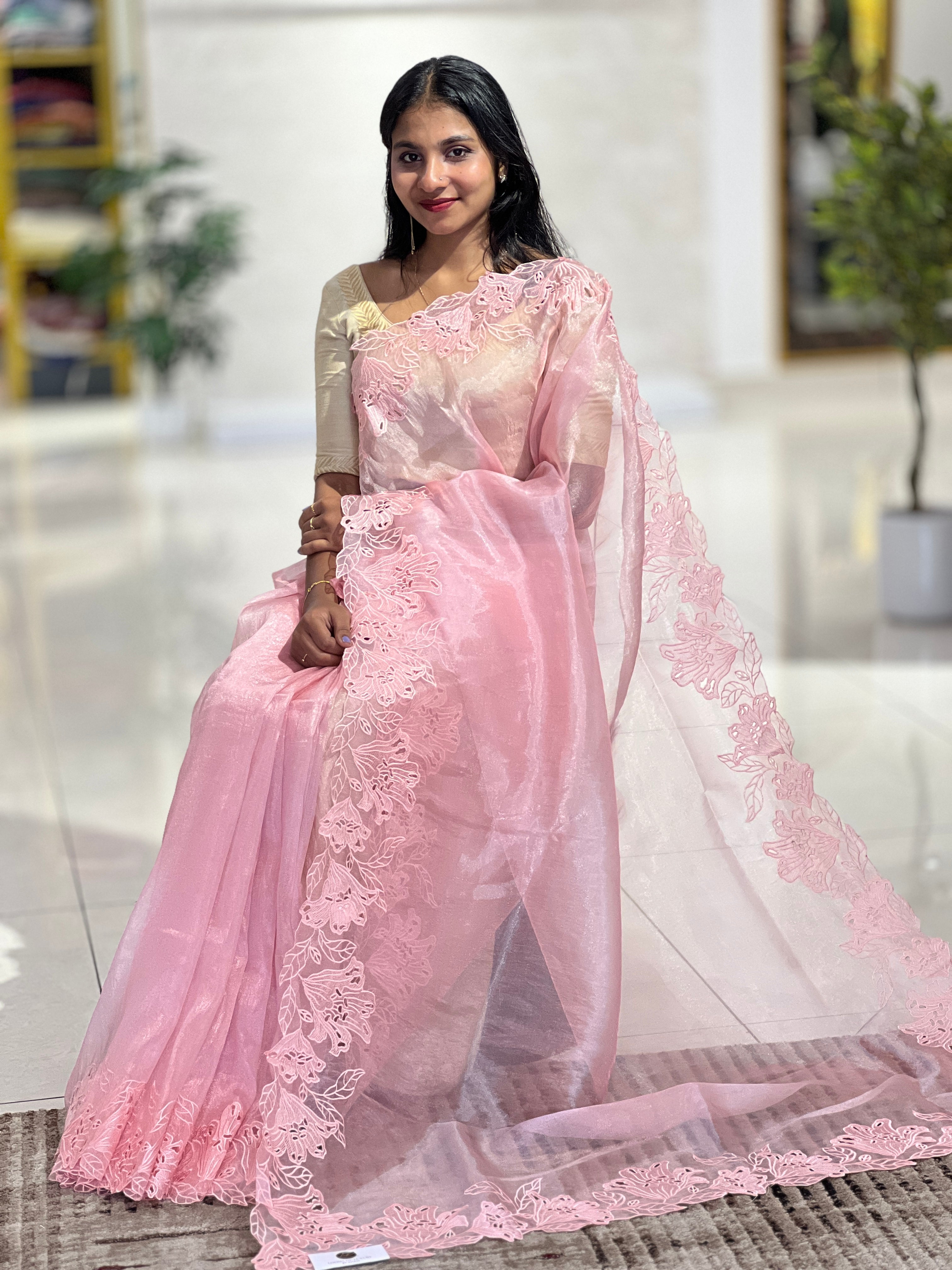 Cut-work Detailed Nylon Organza Saree | BLD485