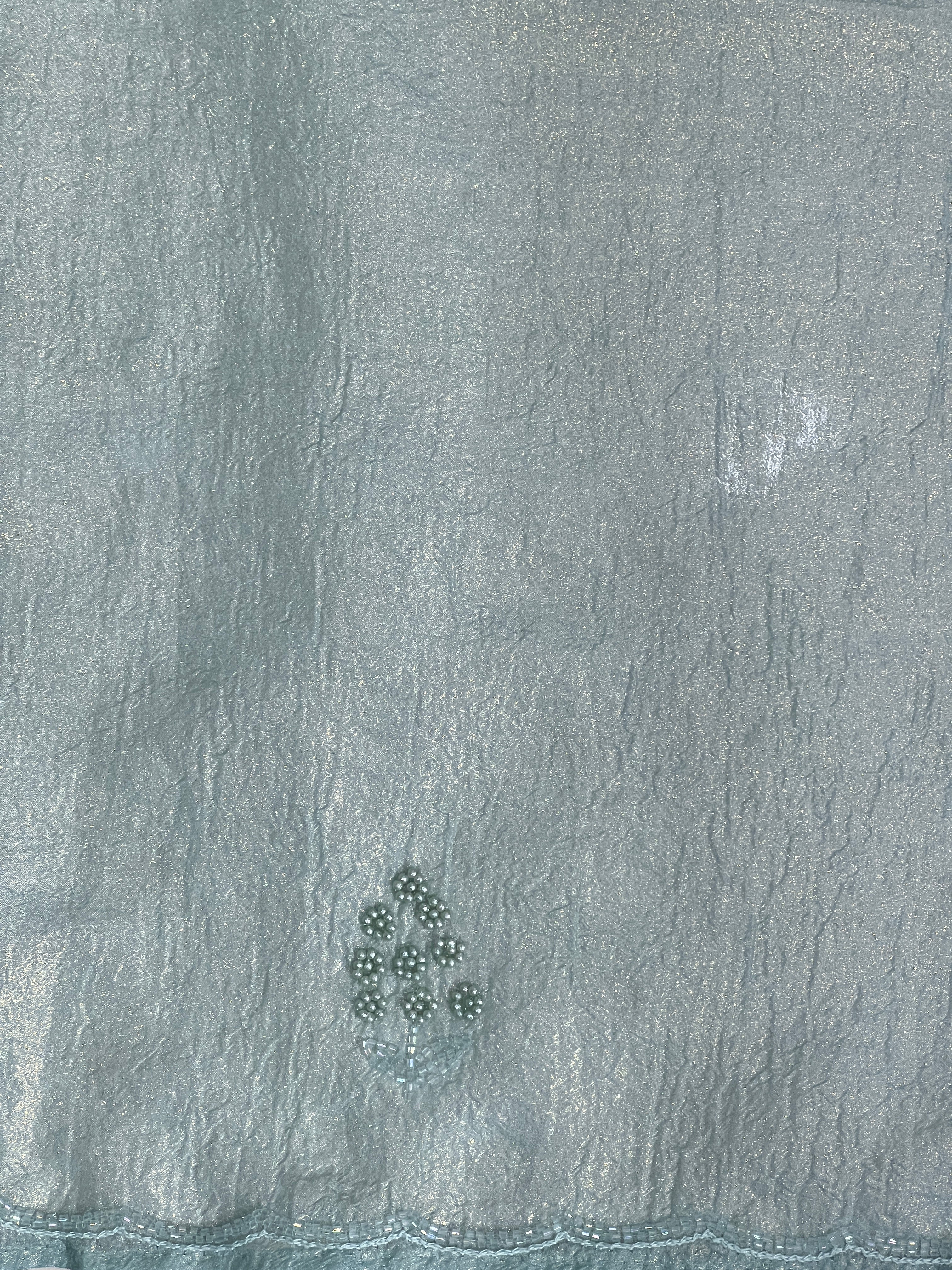 Beads & Sequins Detailed Crushed Shimmer Organza Saree | SGS144