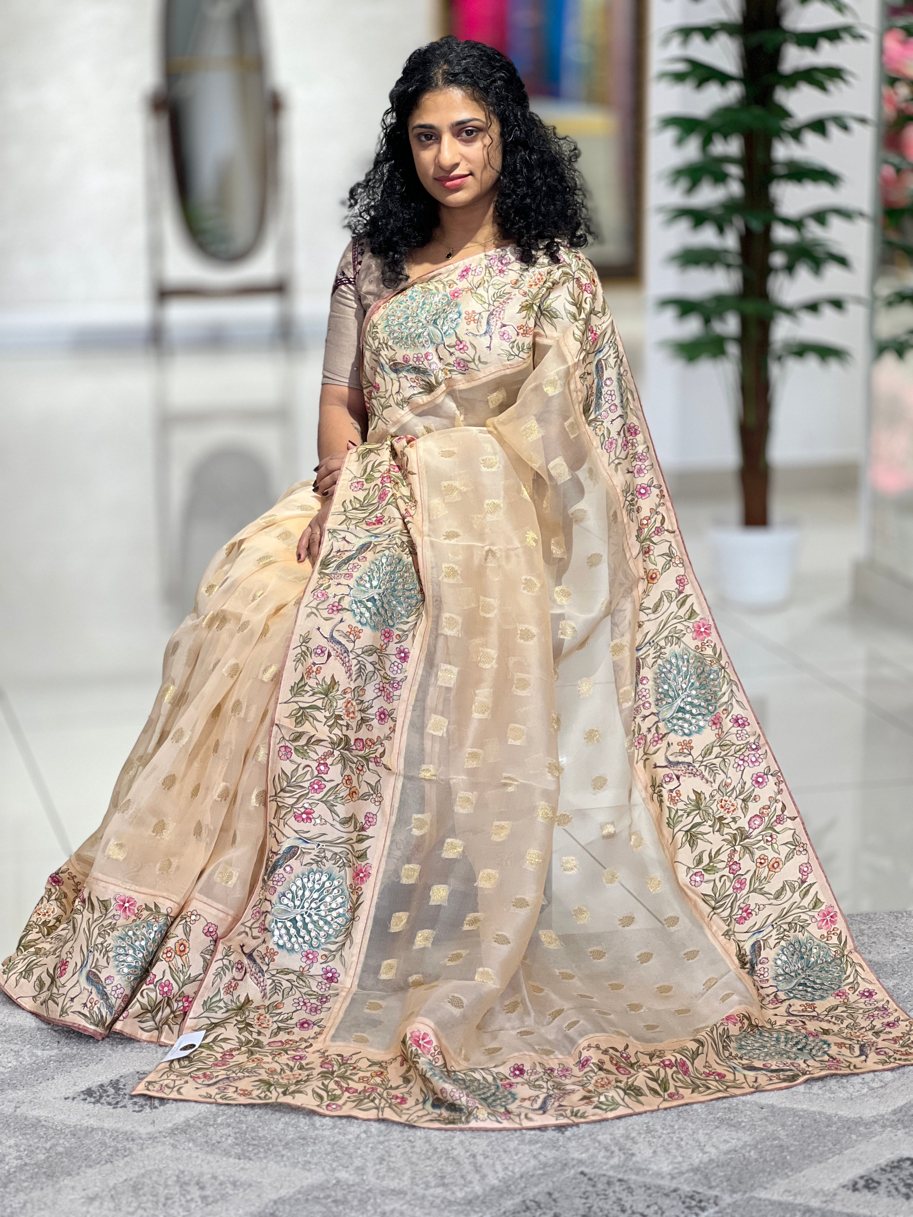 Banarasi Patterned Organza Saree | RGD552