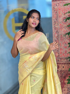 Jamdani Weaved Chanderi Finish Saree | SSN227