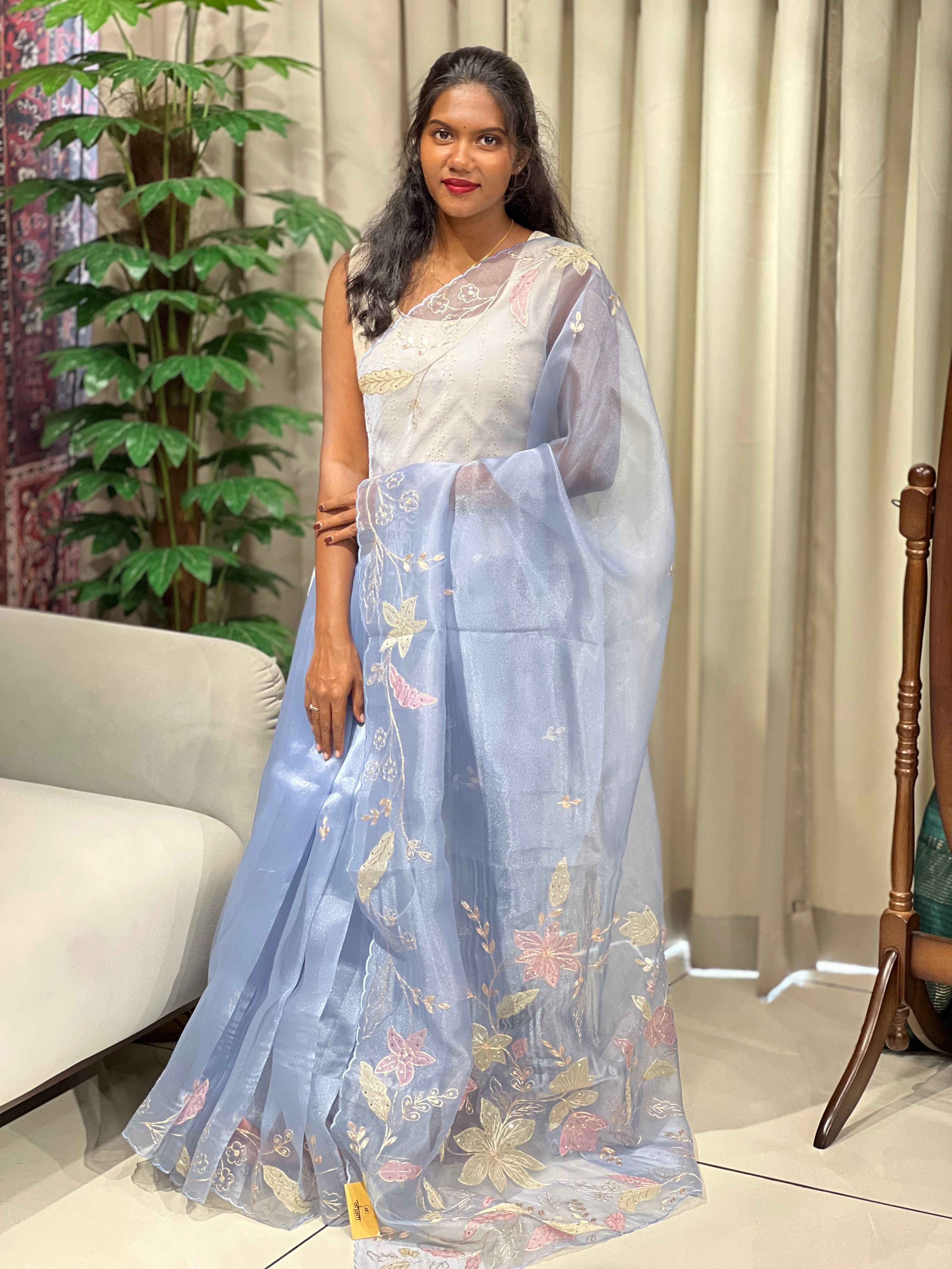 Applique & Pitta Work Detailed Glass Organza Saree | SGS143