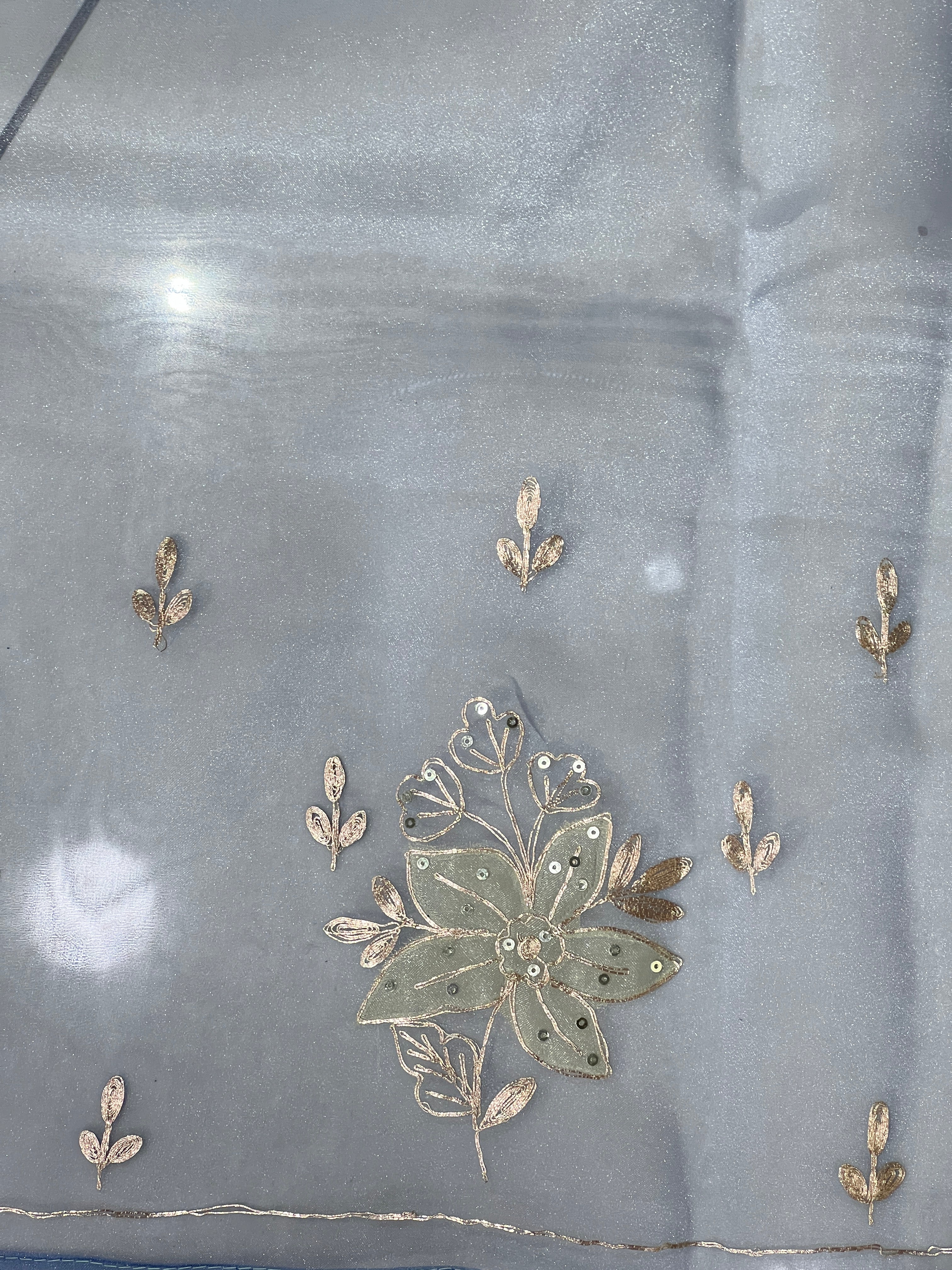 Applique & Pitta Work Detailed Glass Organza Saree | SGS143